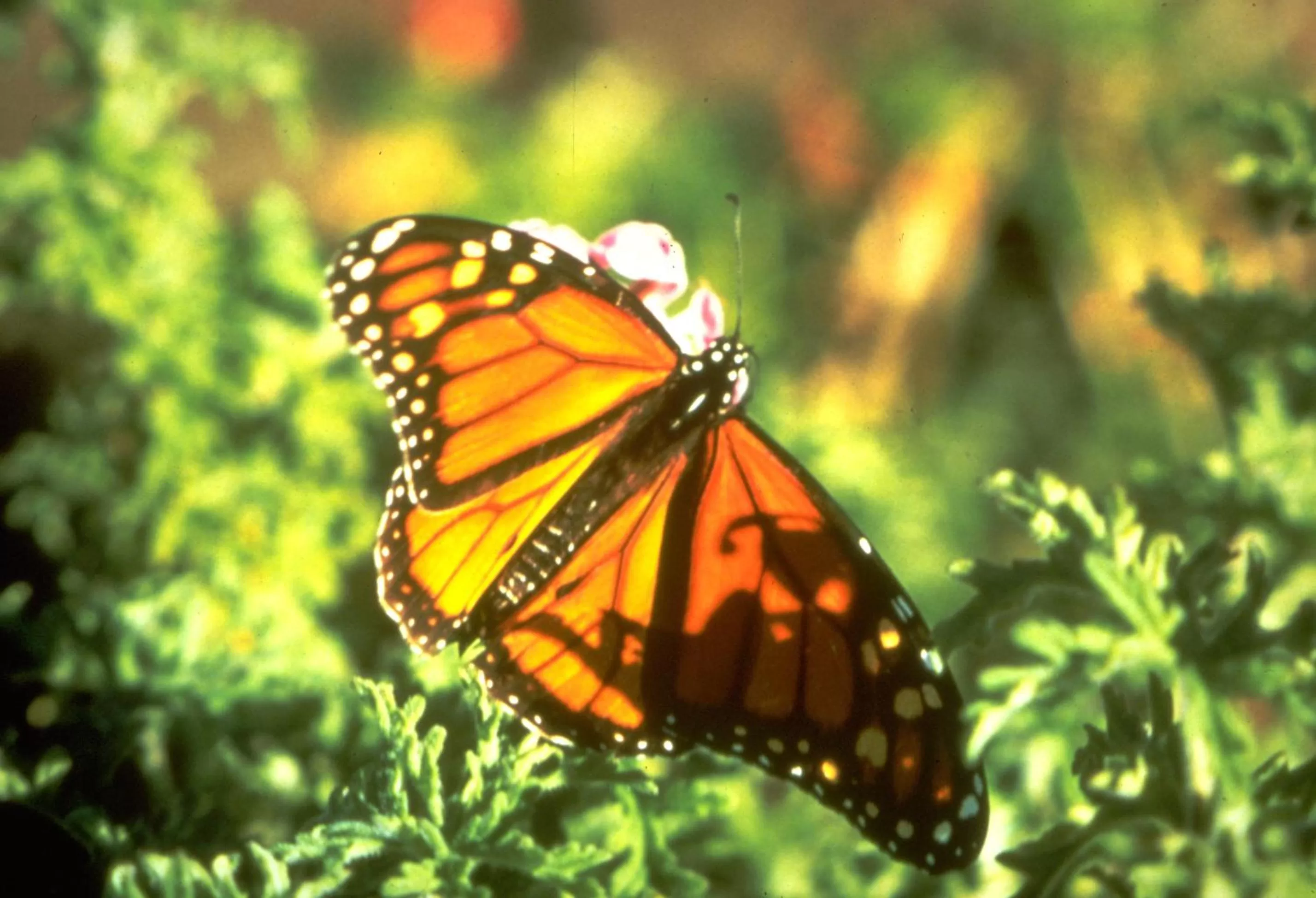 Area and facilities in Spindrift Inn