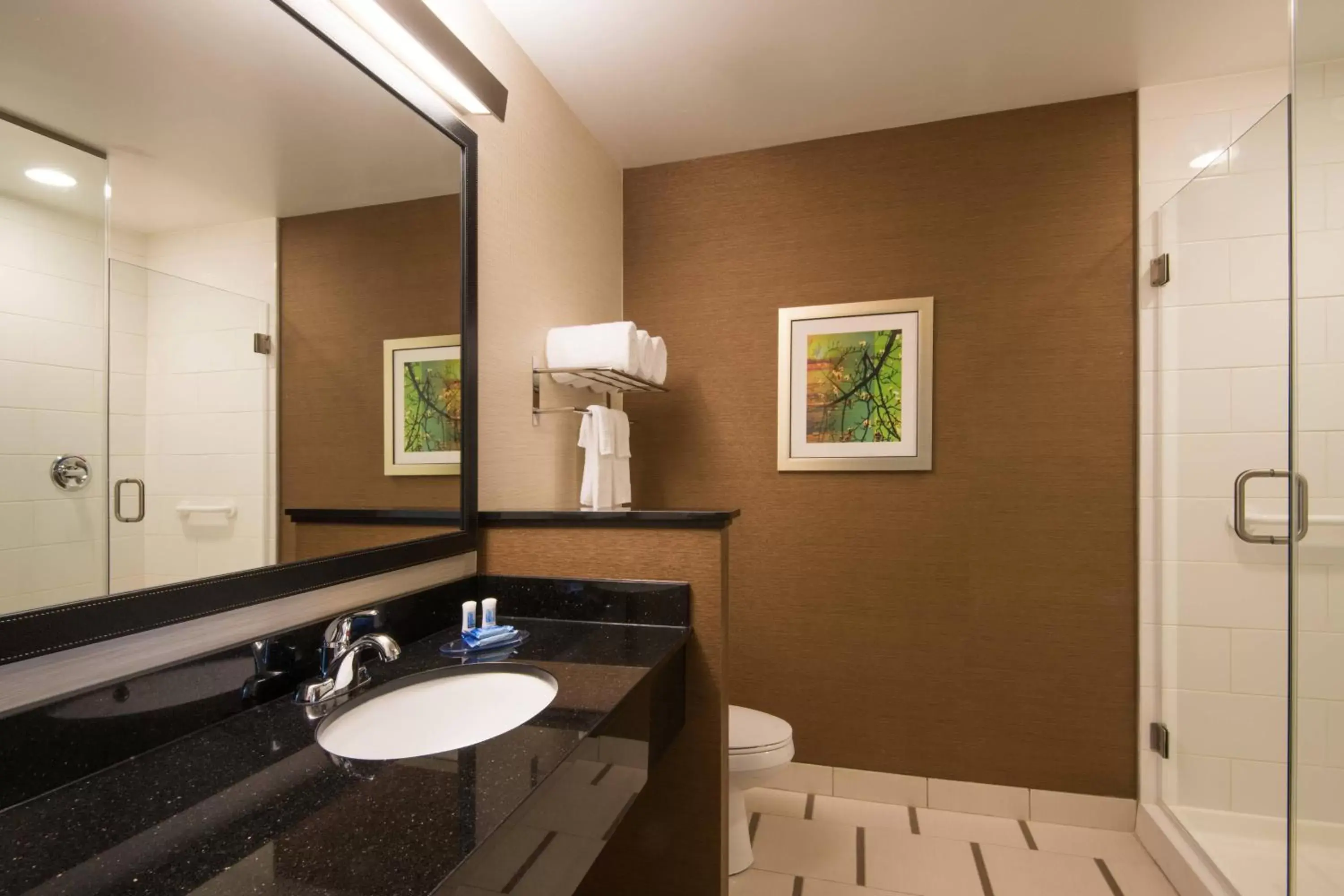 Bathroom in Fairfield Inn & Suites by Marriott Fort Wayne Southwest