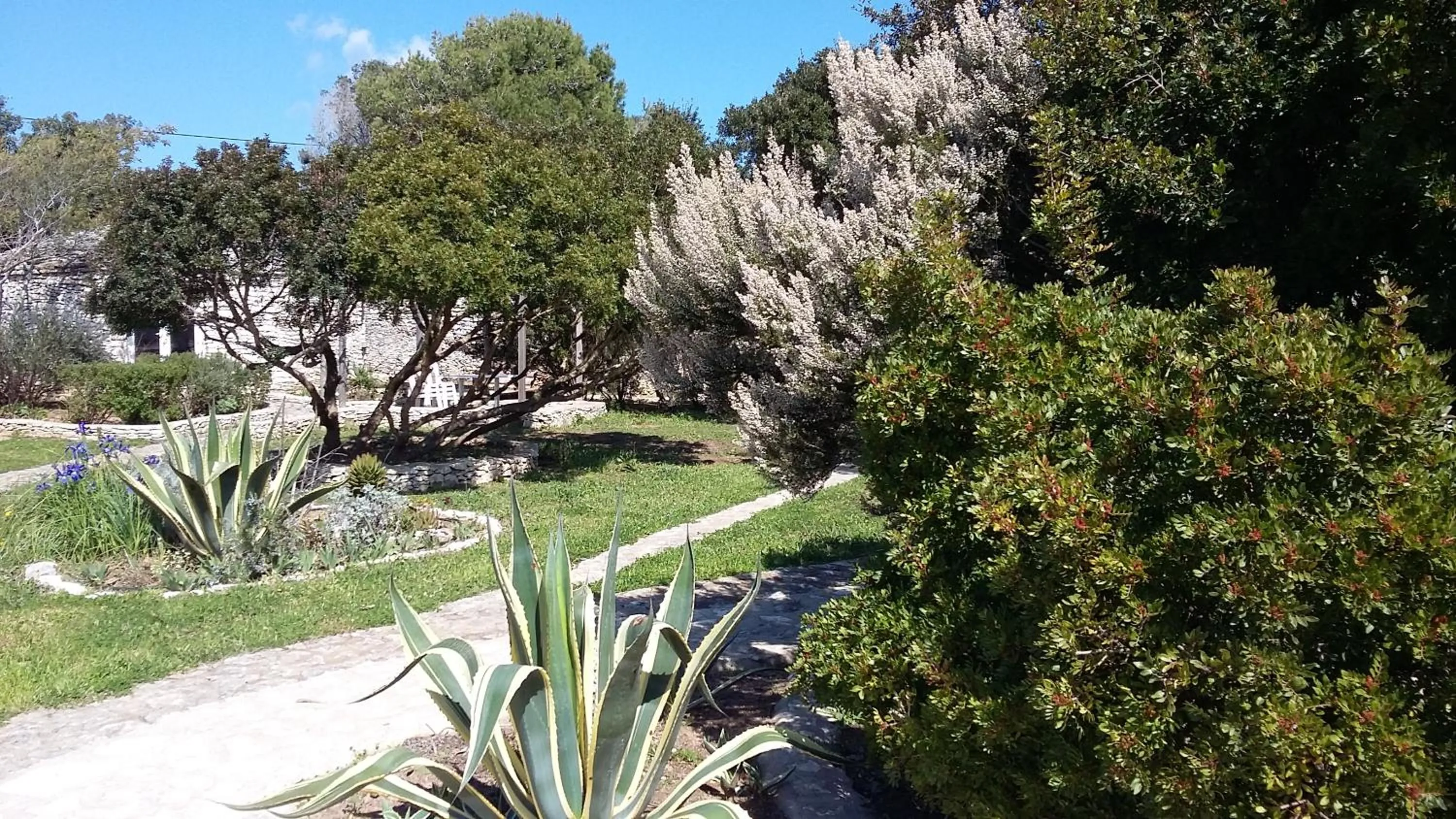 Pets in Hôtel Padolo