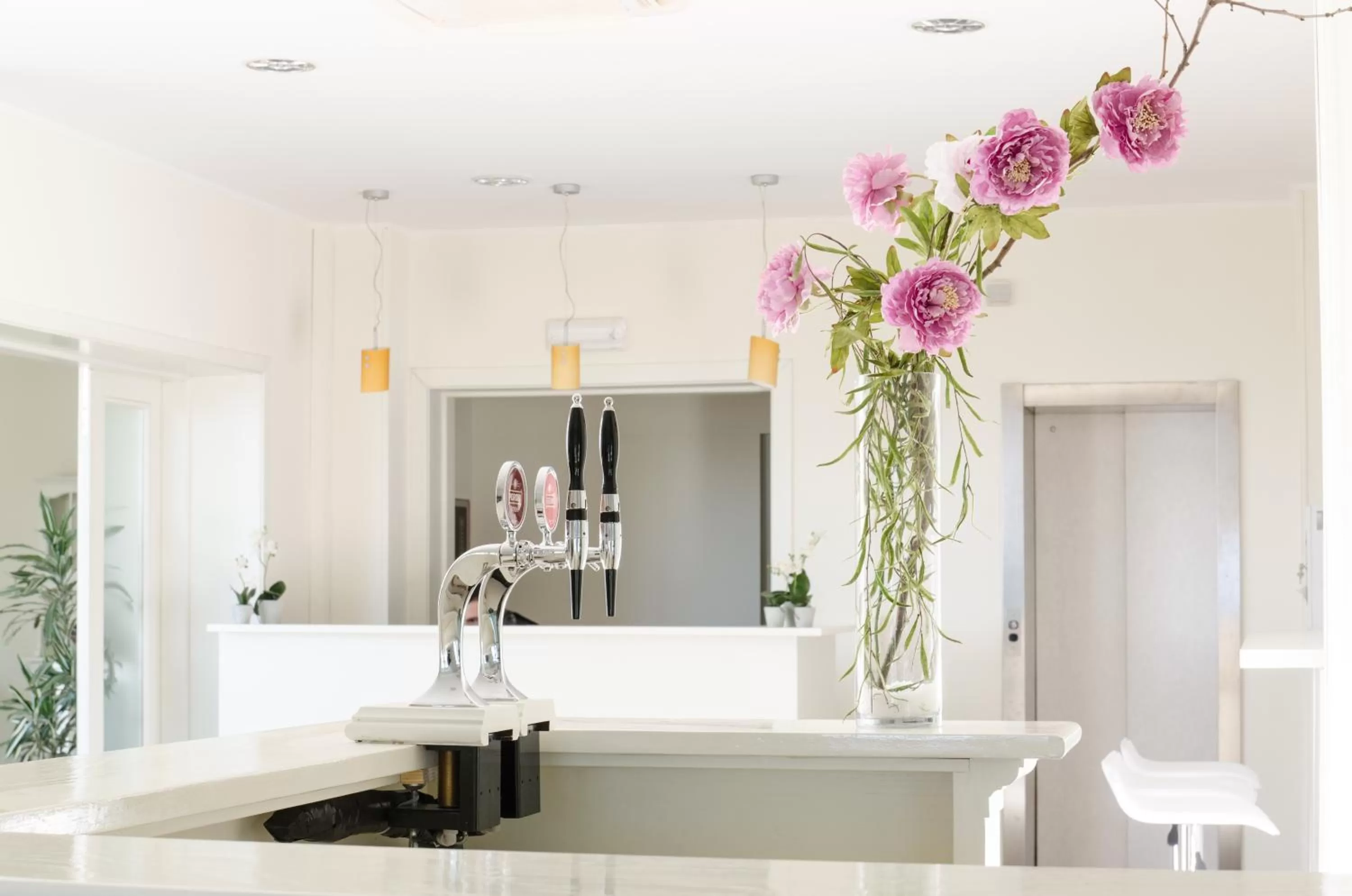 Lobby or reception in Hotel Butterfly