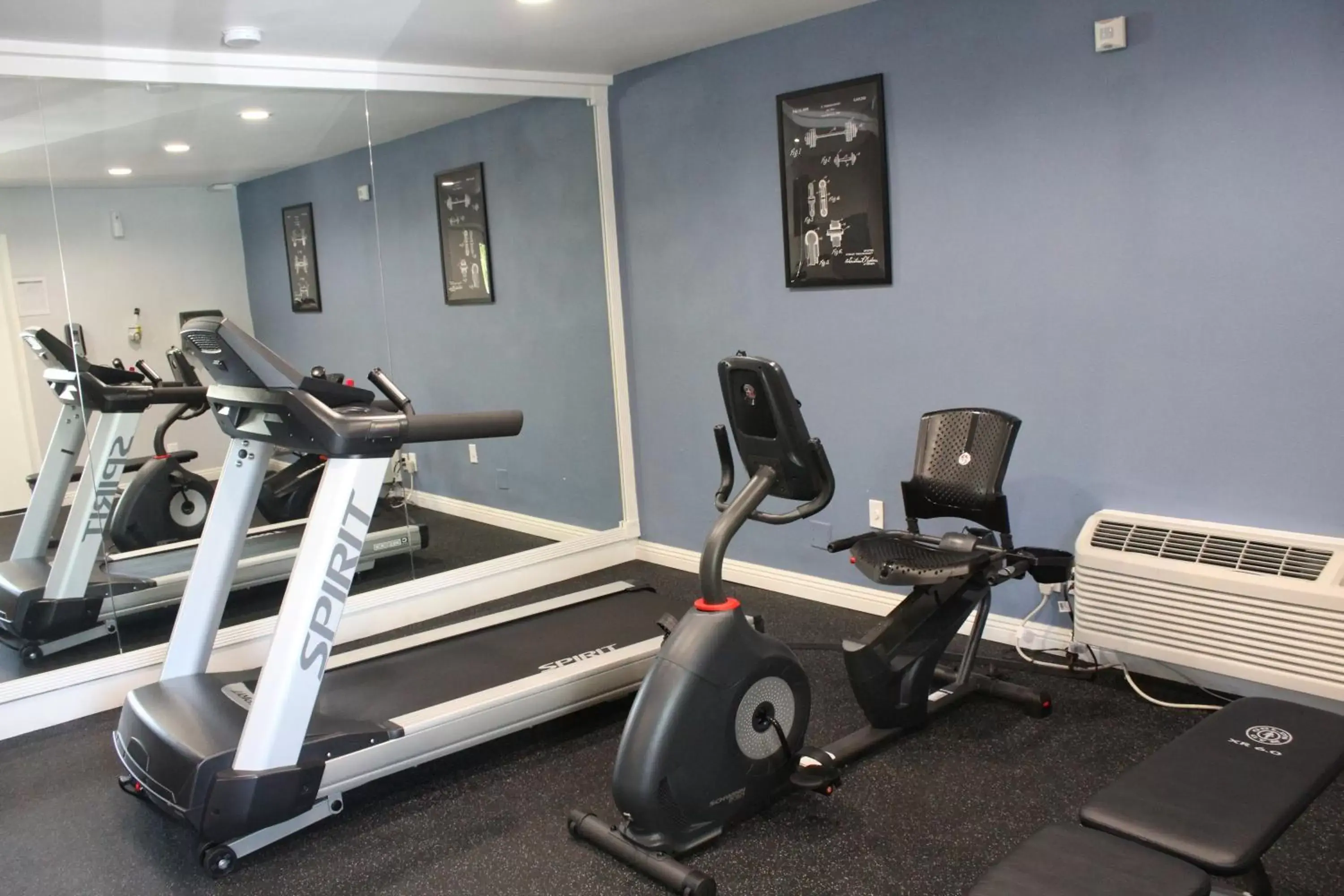 Fitness centre/facilities, Fitness Center/Facilities in Stanford Inn & Suites Anaheim