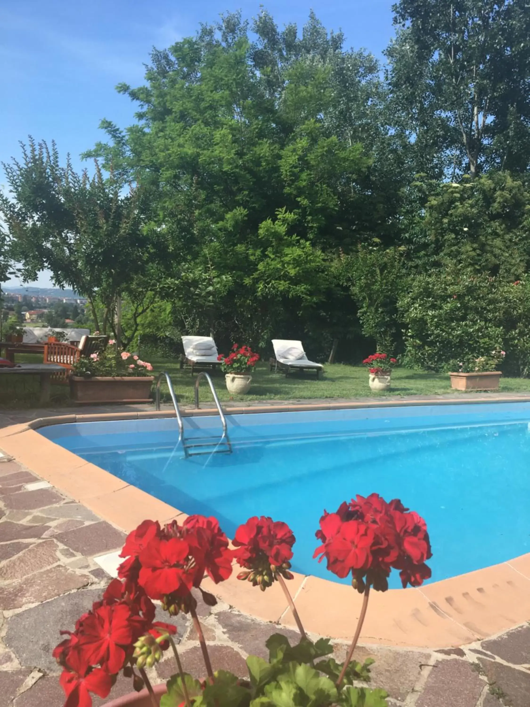 Swimming Pool in B&B La Villarella dei Tulipani