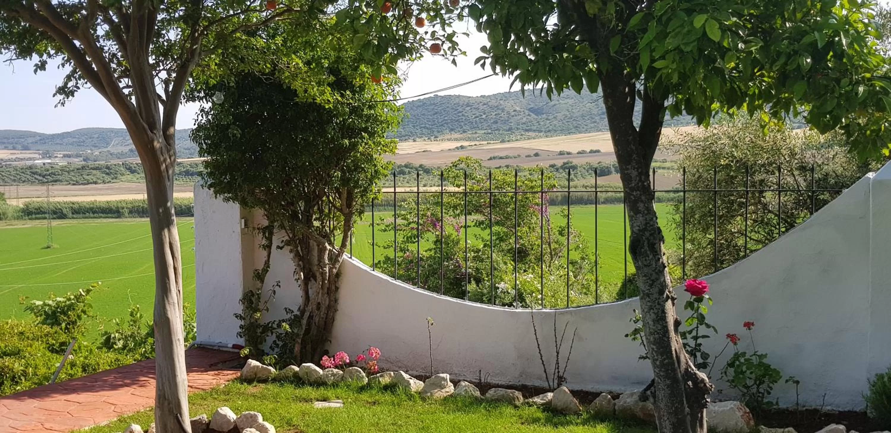 Garden in Hacienda El Santiscal Adults Only