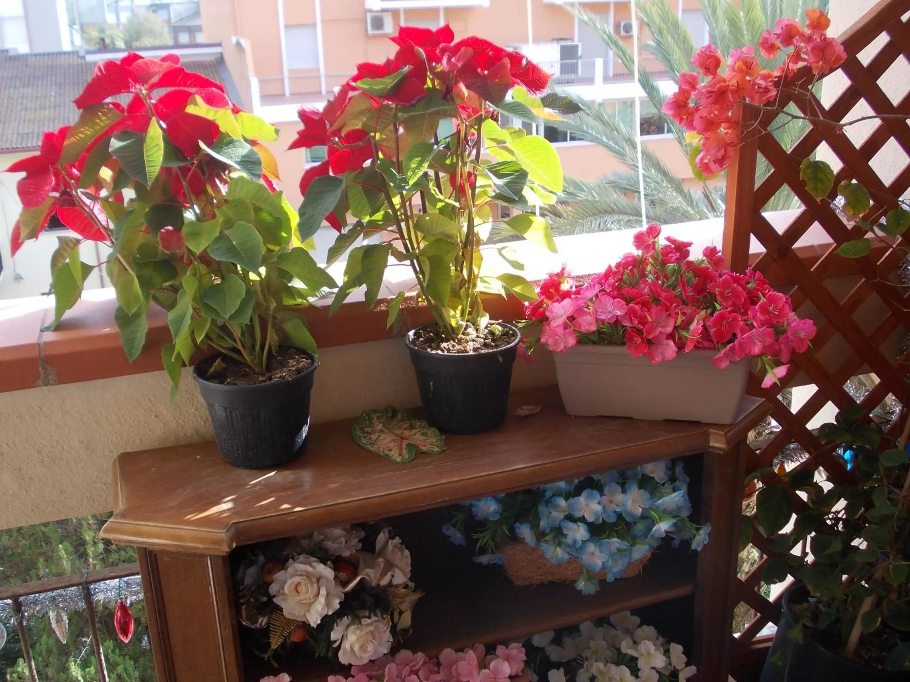 Floor plan in Domus Aurea