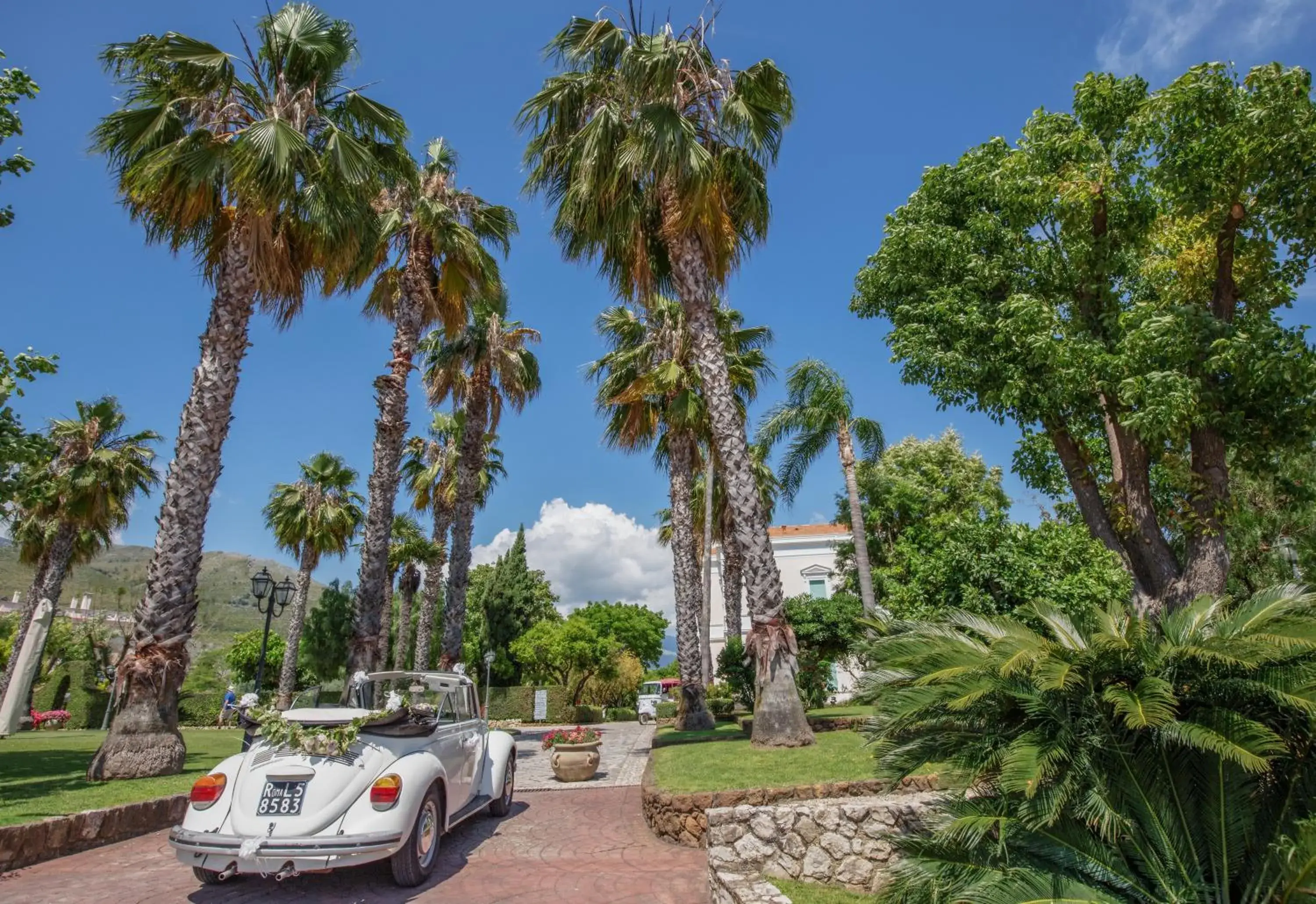 Garden view in Villa Irlanda Grand Hotel