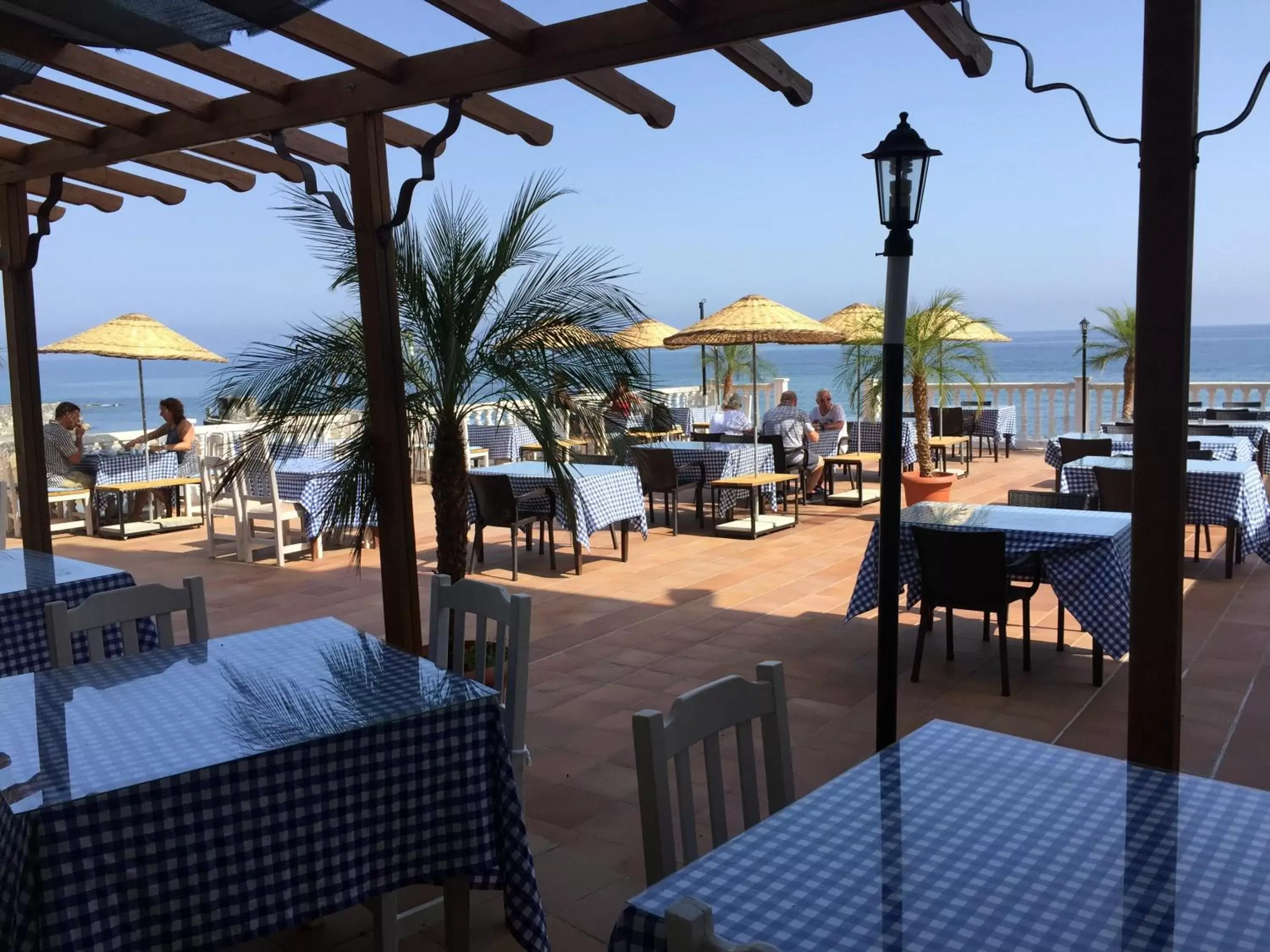 Patio, Restaurant/Places to Eat in Manolya Hotel