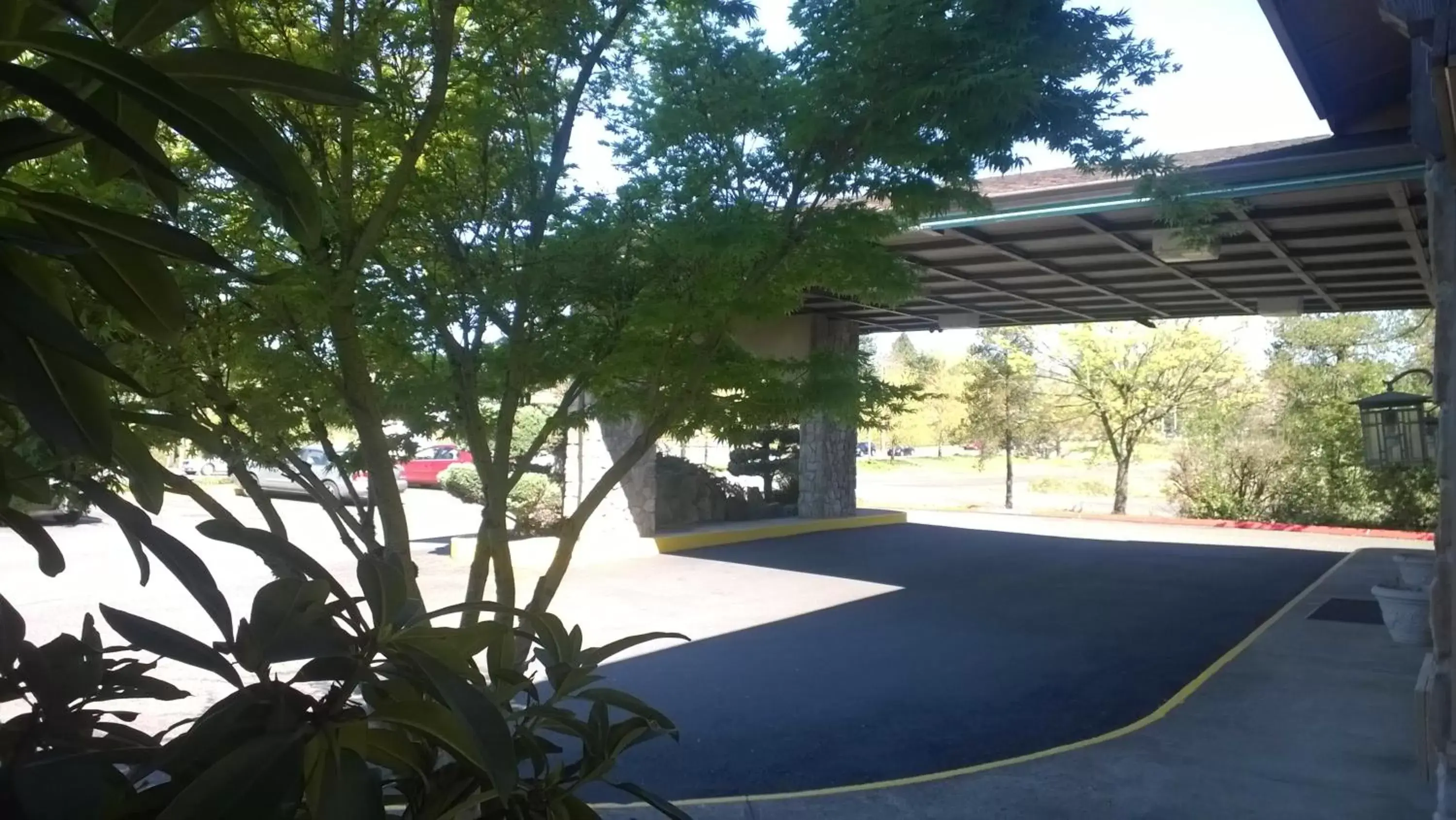 Garden, Swimming Pool in Pepper Tree Inn