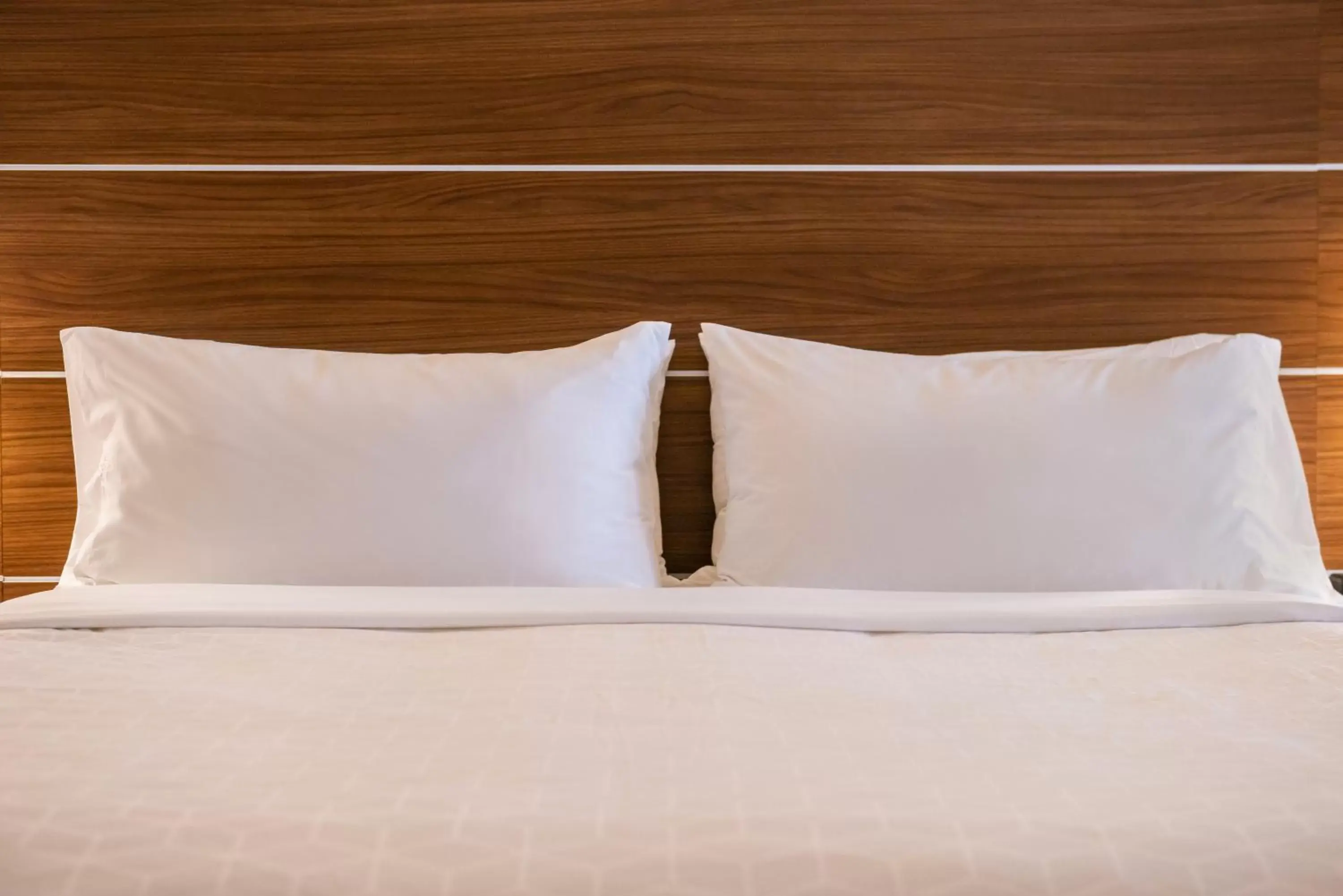 Bed in Holiday Inn Express Hotel & Suites Gunnison, an IHG Hotel