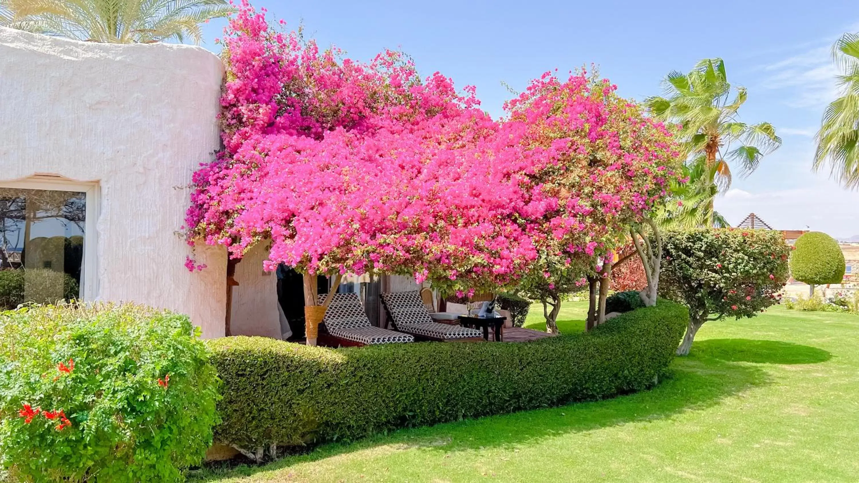 Garden in Sharm Club Beach Resort