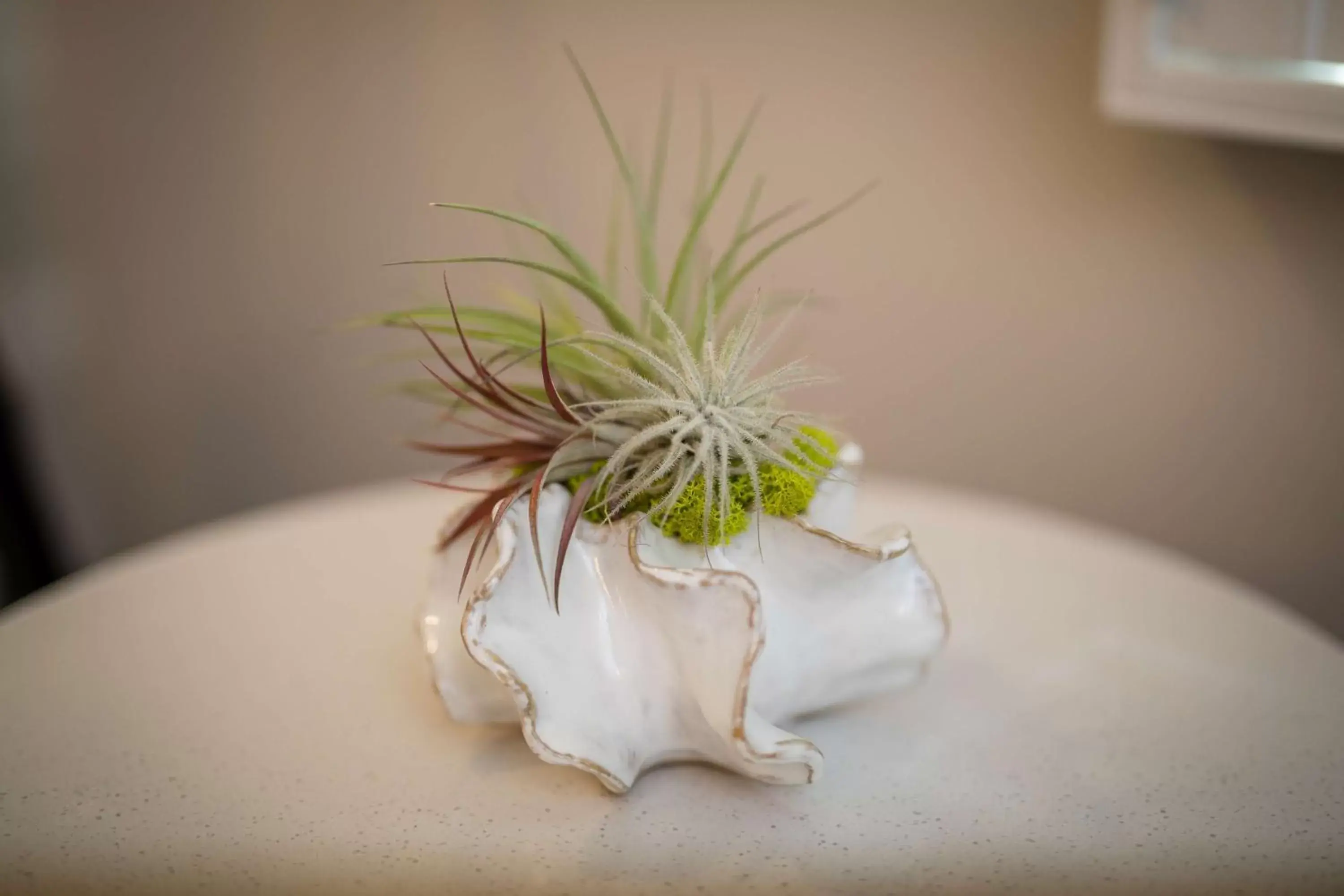 King Room with Roll-In Shower - Disability Access in Aristocrat Hotel, BW Signature Collection King Room with Roll-In Shower - Disability Access in Aristocrat Hotel, BW Signature Collection