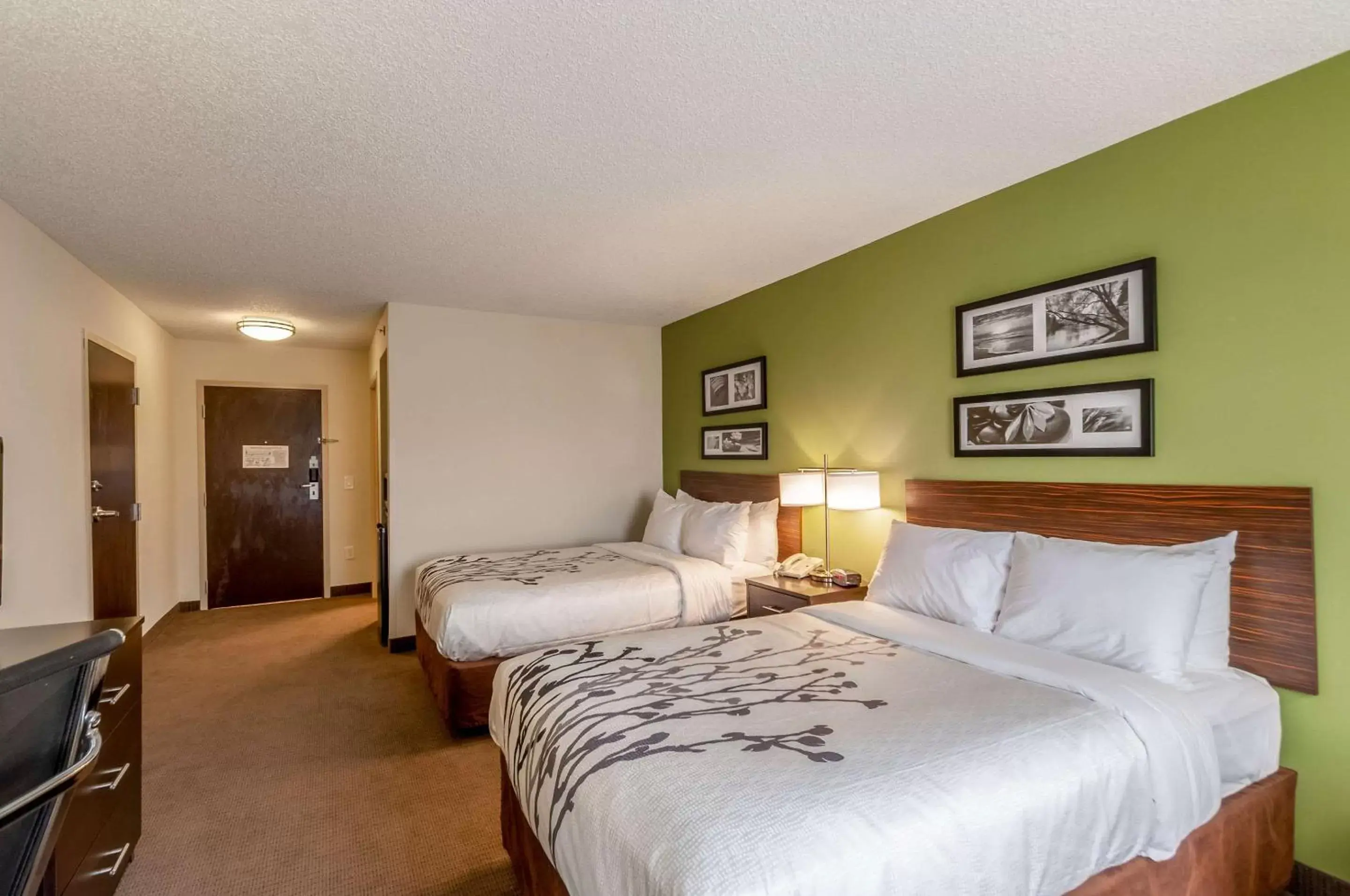 Photo of the whole room, Bed in Sleep Inn & Suites Harrisonburg near University