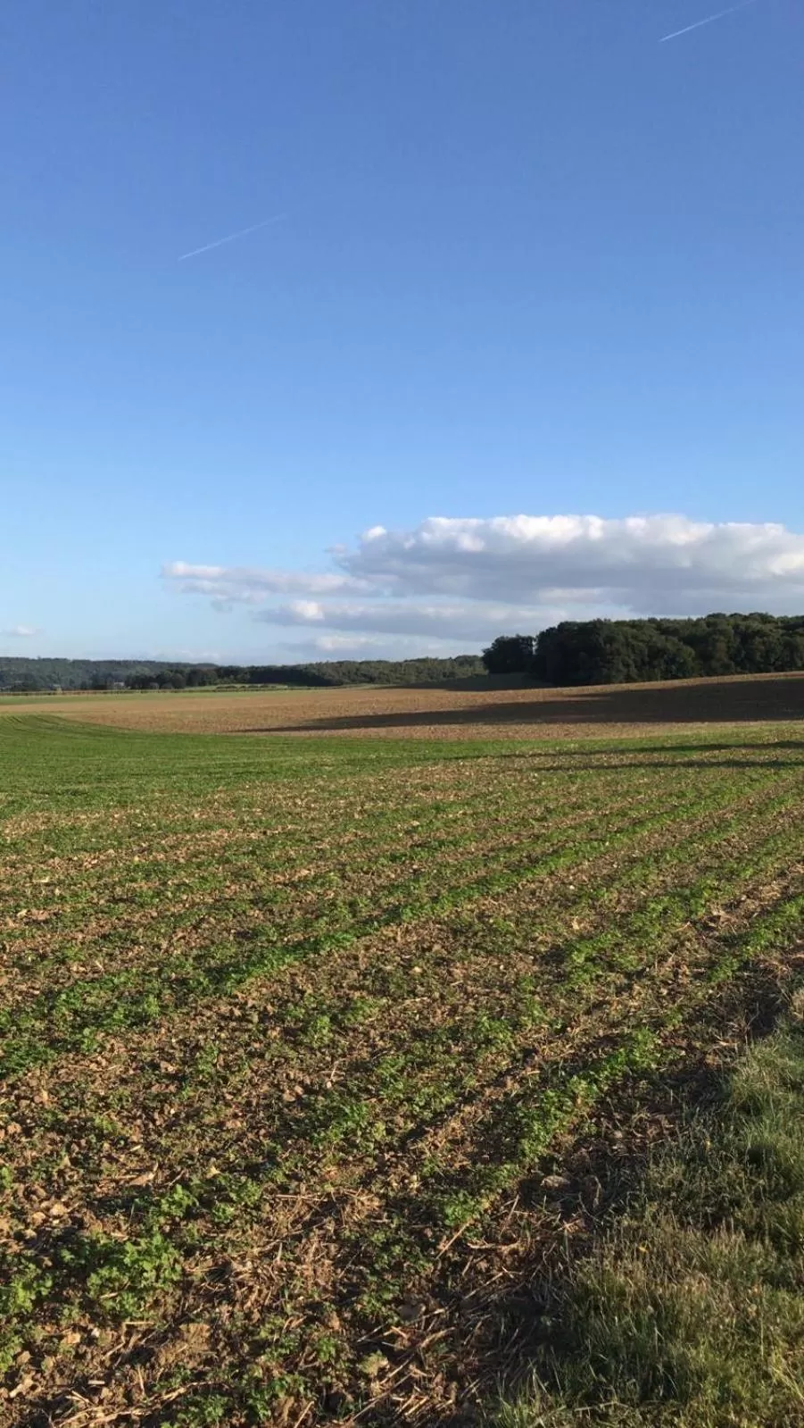 Natural Landscape in B&B Holset70