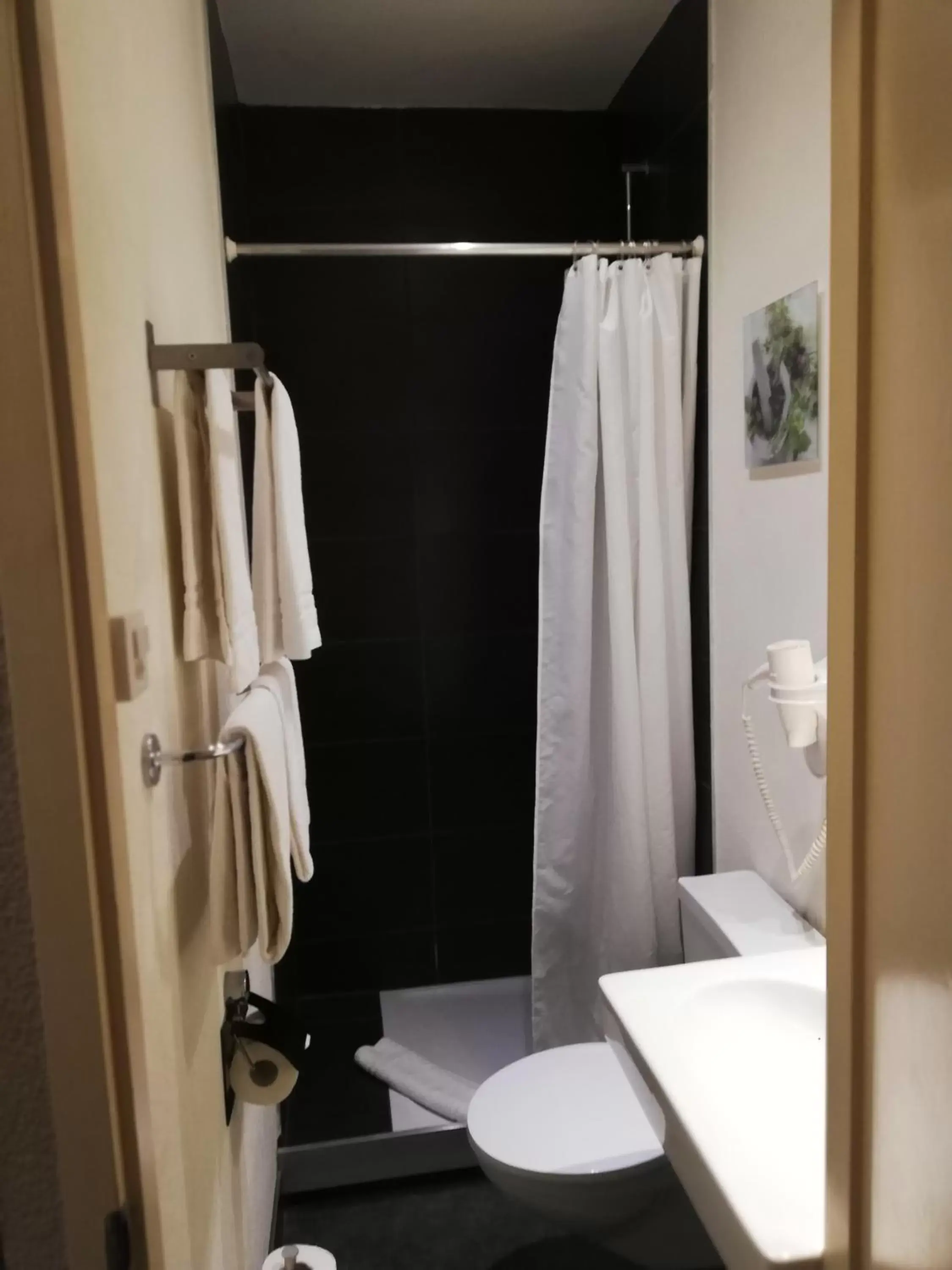 Toilet, Bathroom in Hotel Parc & Lac