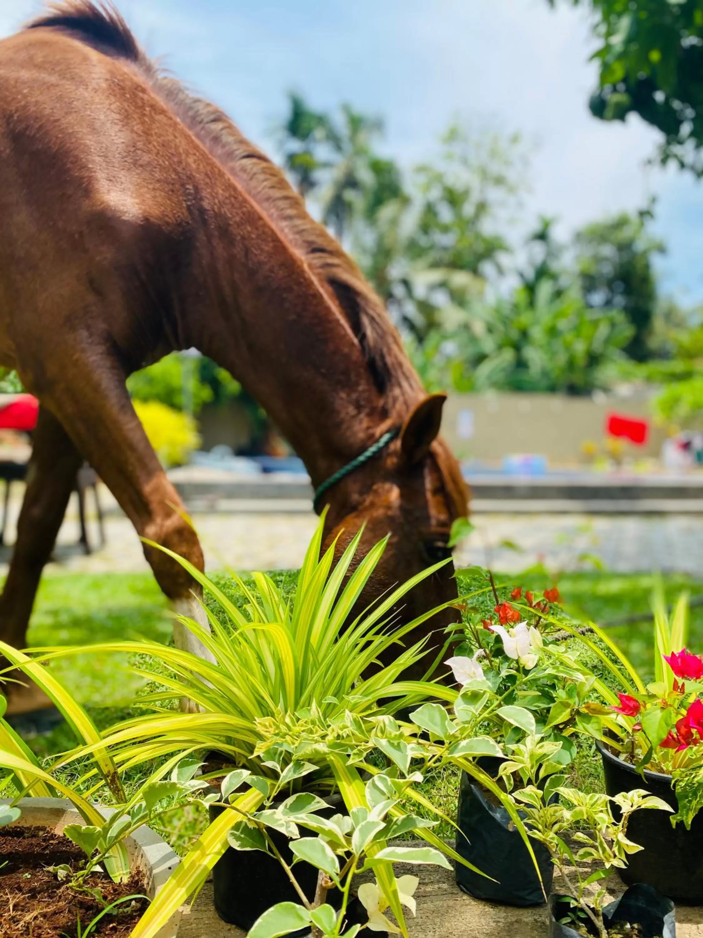 Day in The Kingslayer Resort