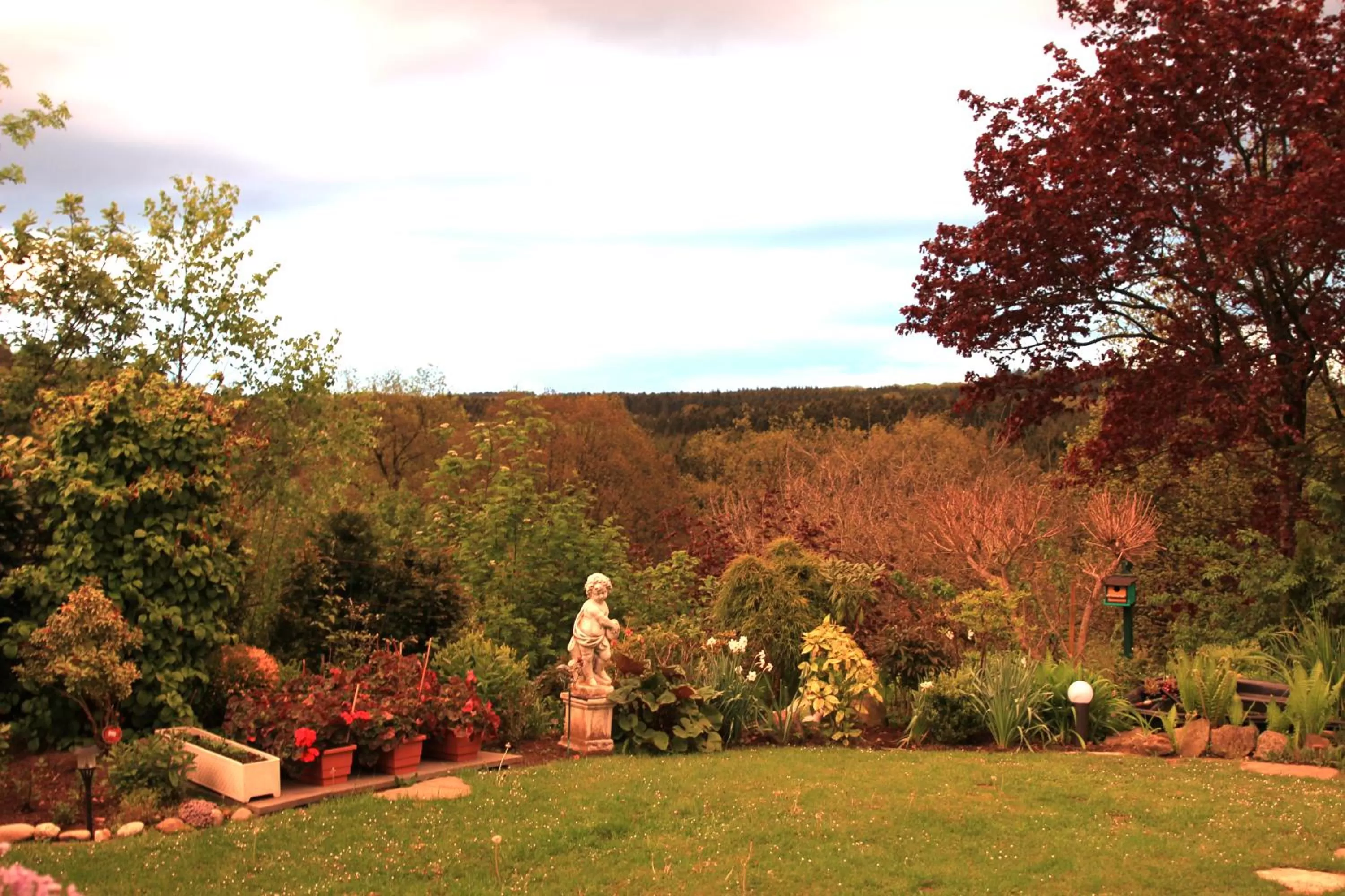 Winter in Bed and Breakfast am Höhenweg
