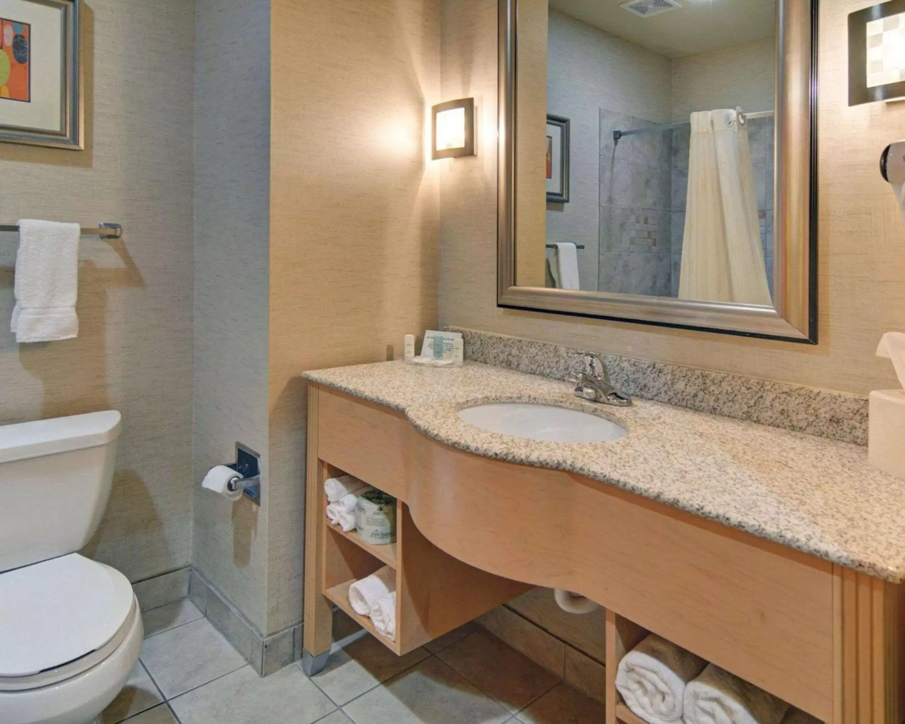 Bathroom in Comfort Suites Lindale