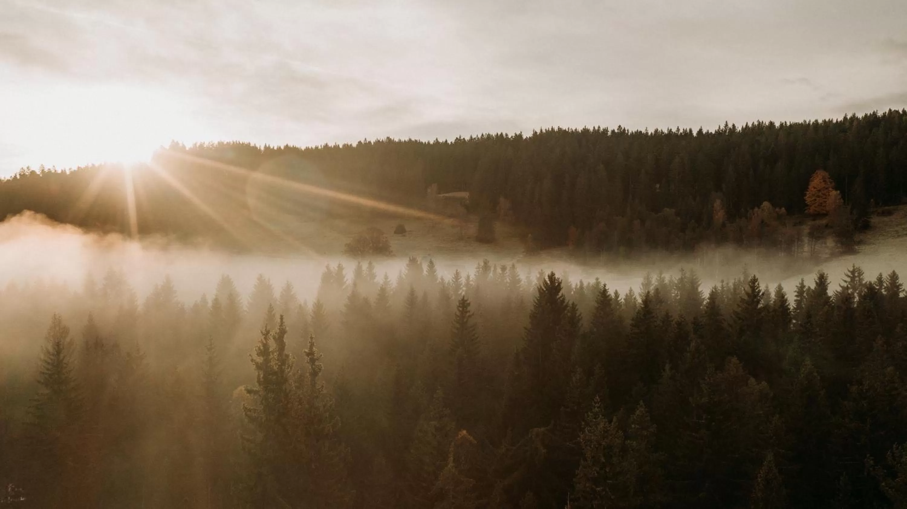 Natural landscape in Black Forest Dream Apartments