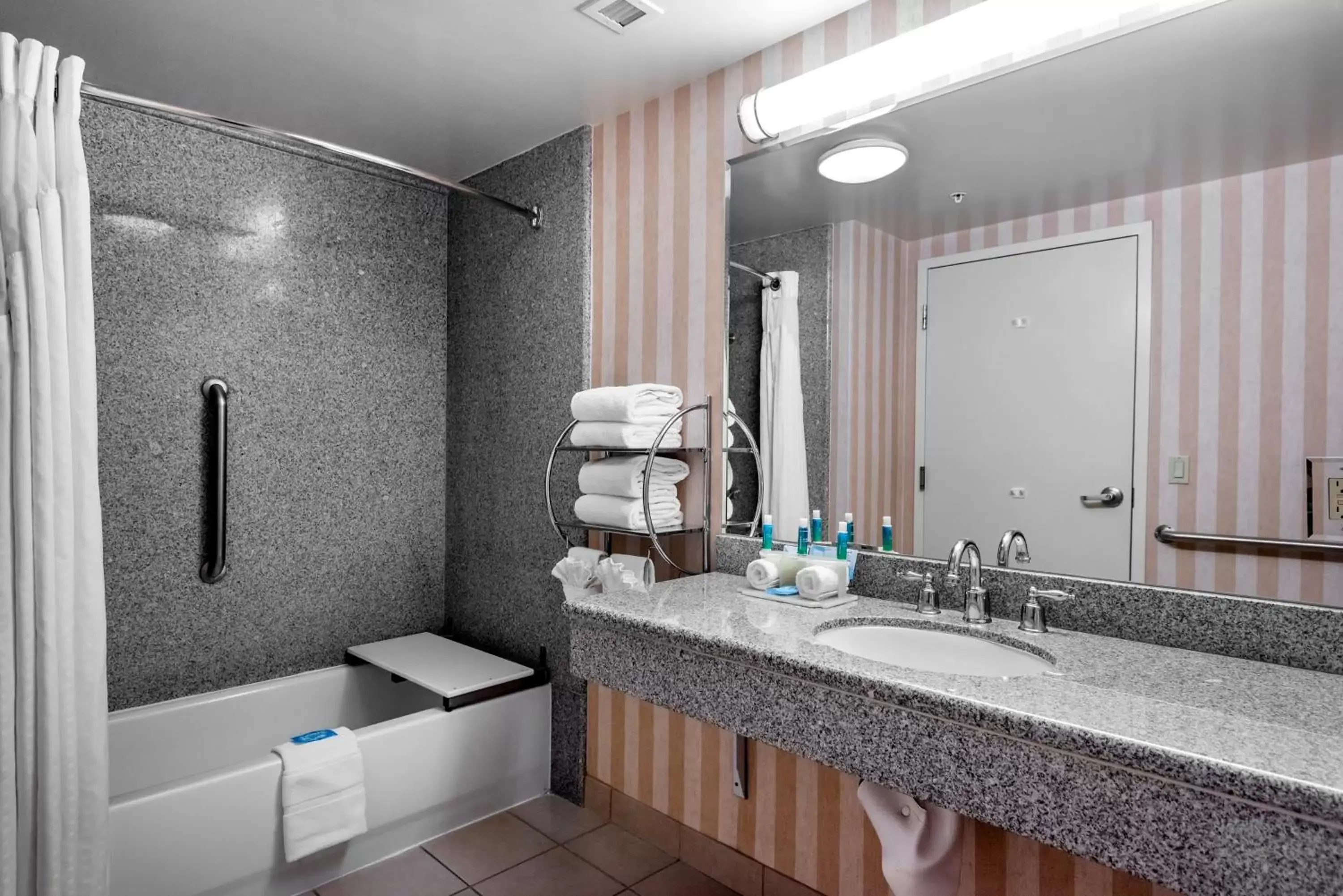 Bathroom in Holiday Inn Express Lathrop - South Stockton, an IHG Hotel