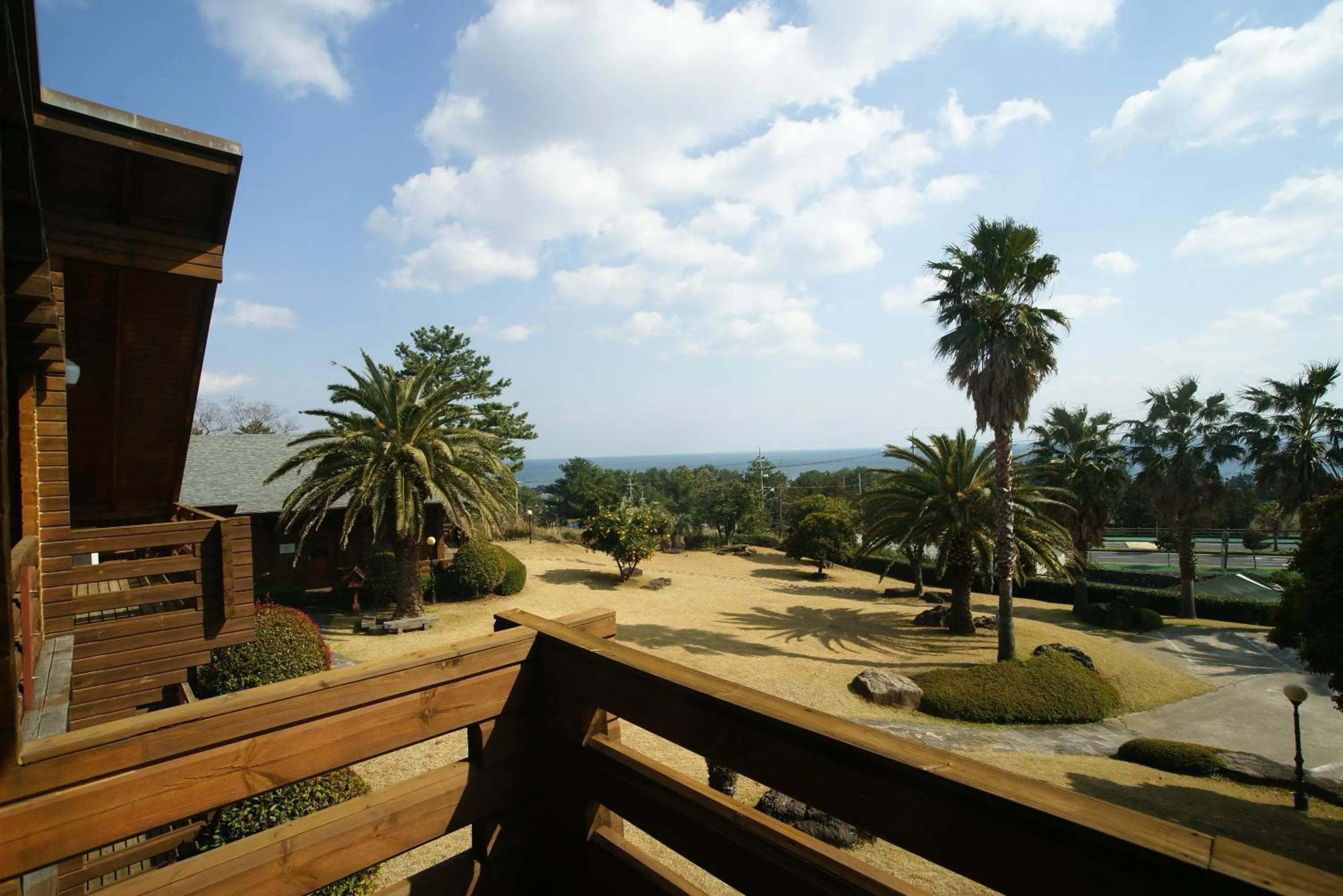 Day in Sunny Day Jeju