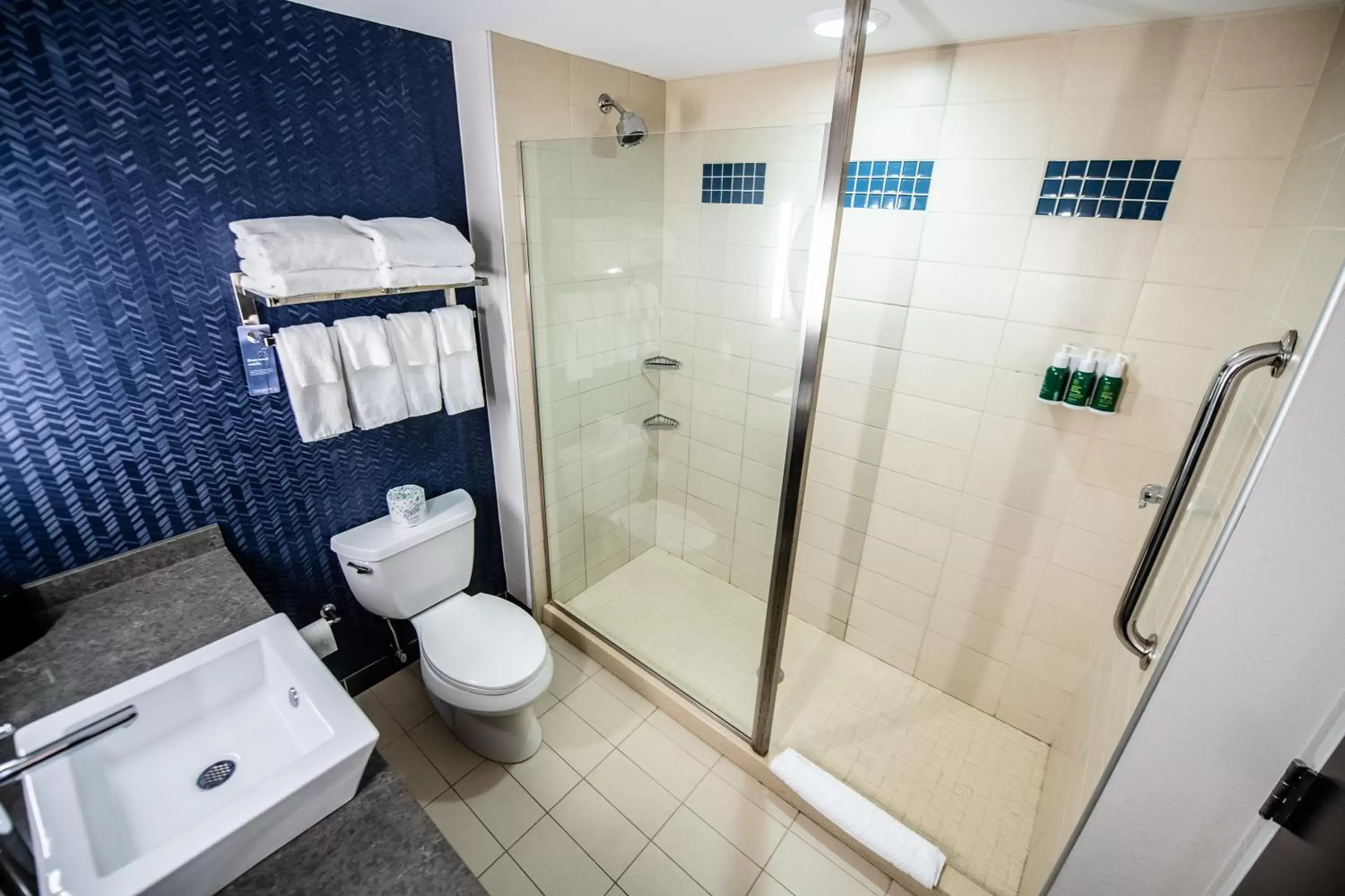 Shower, Bathroom in Fairfield by Marriott Inn & Suites Washington Casino Area