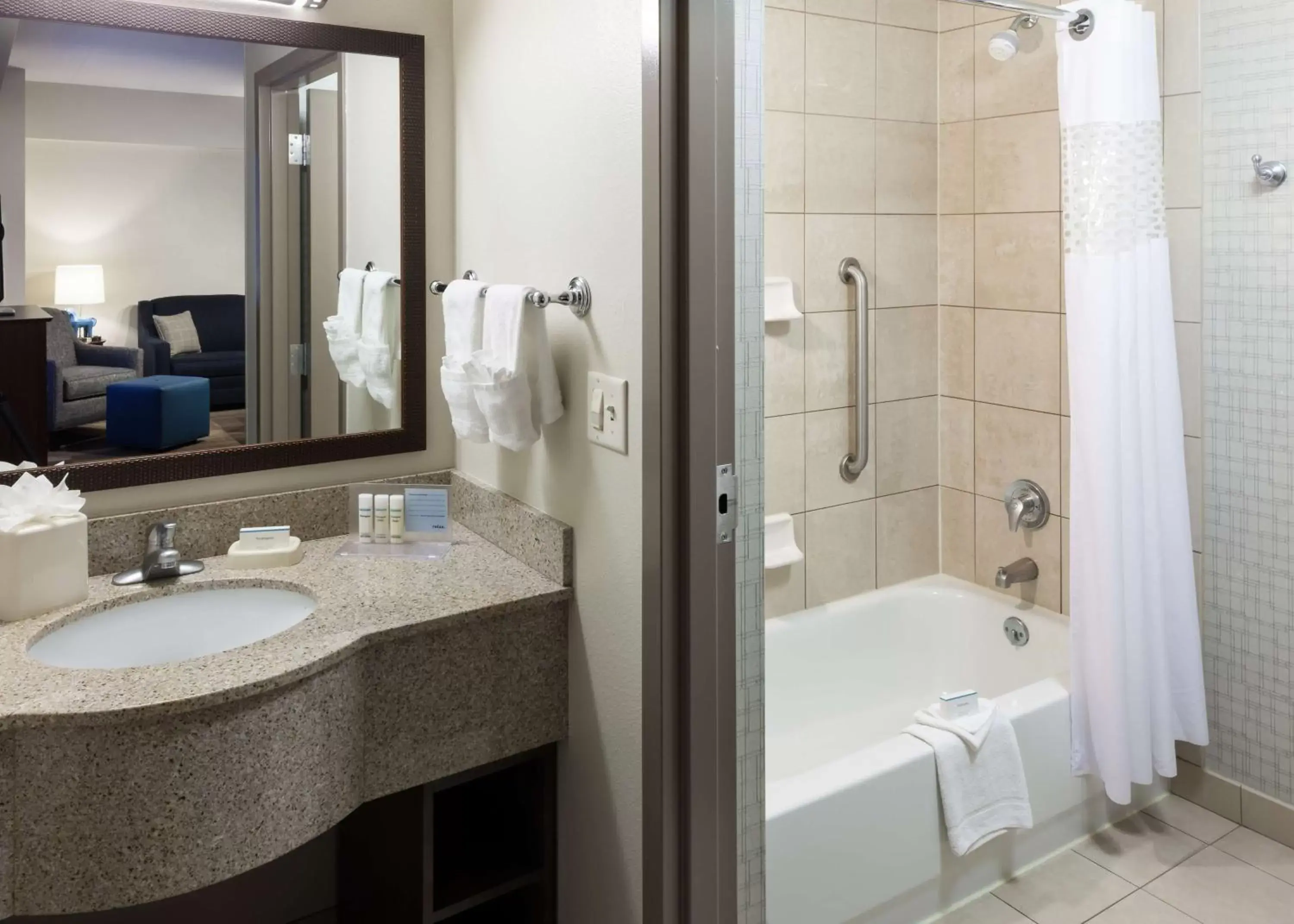 Bathroom in Hampton Inn & Suites Boise-Downtown