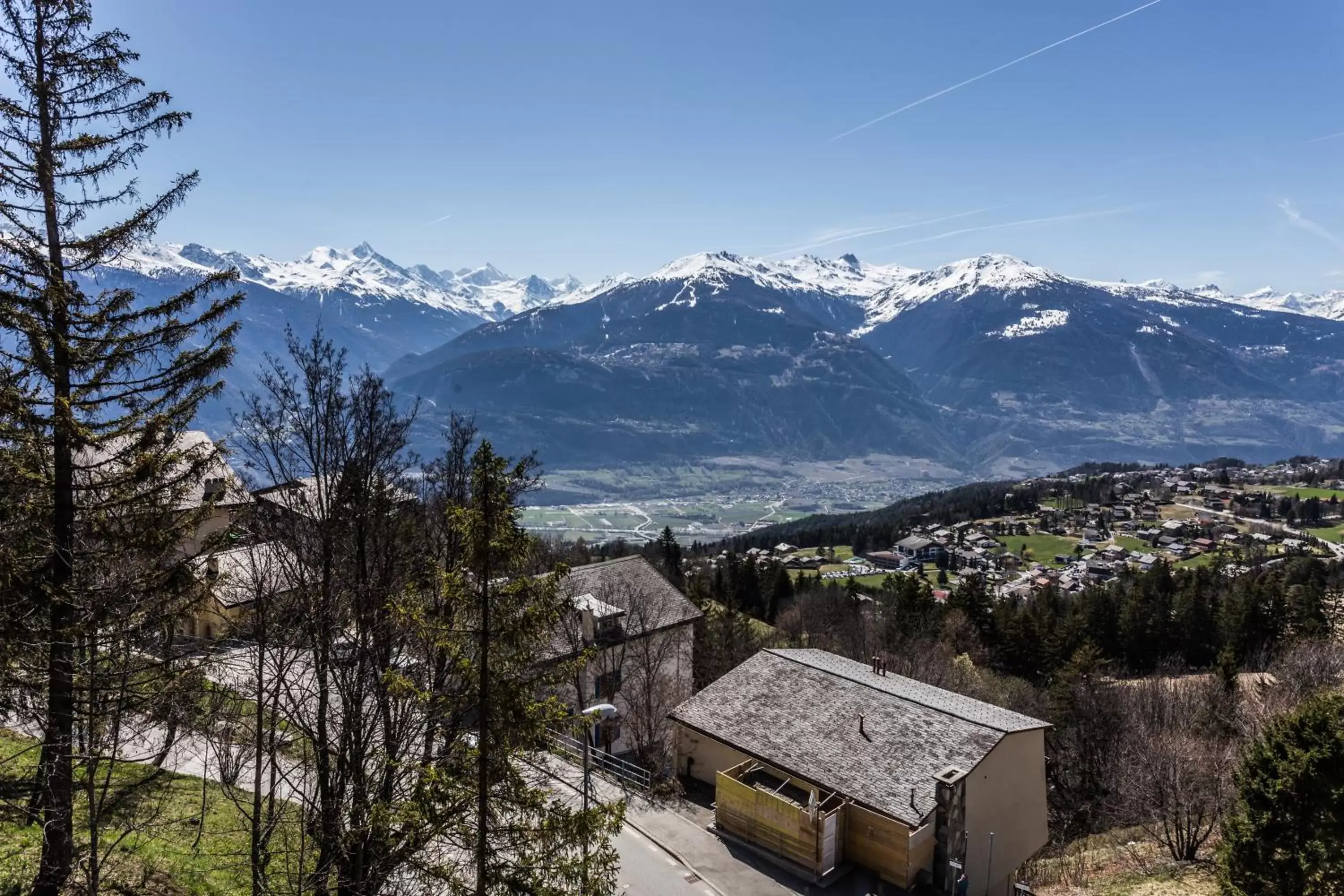 Mountain View in Hôtel de la Forêt