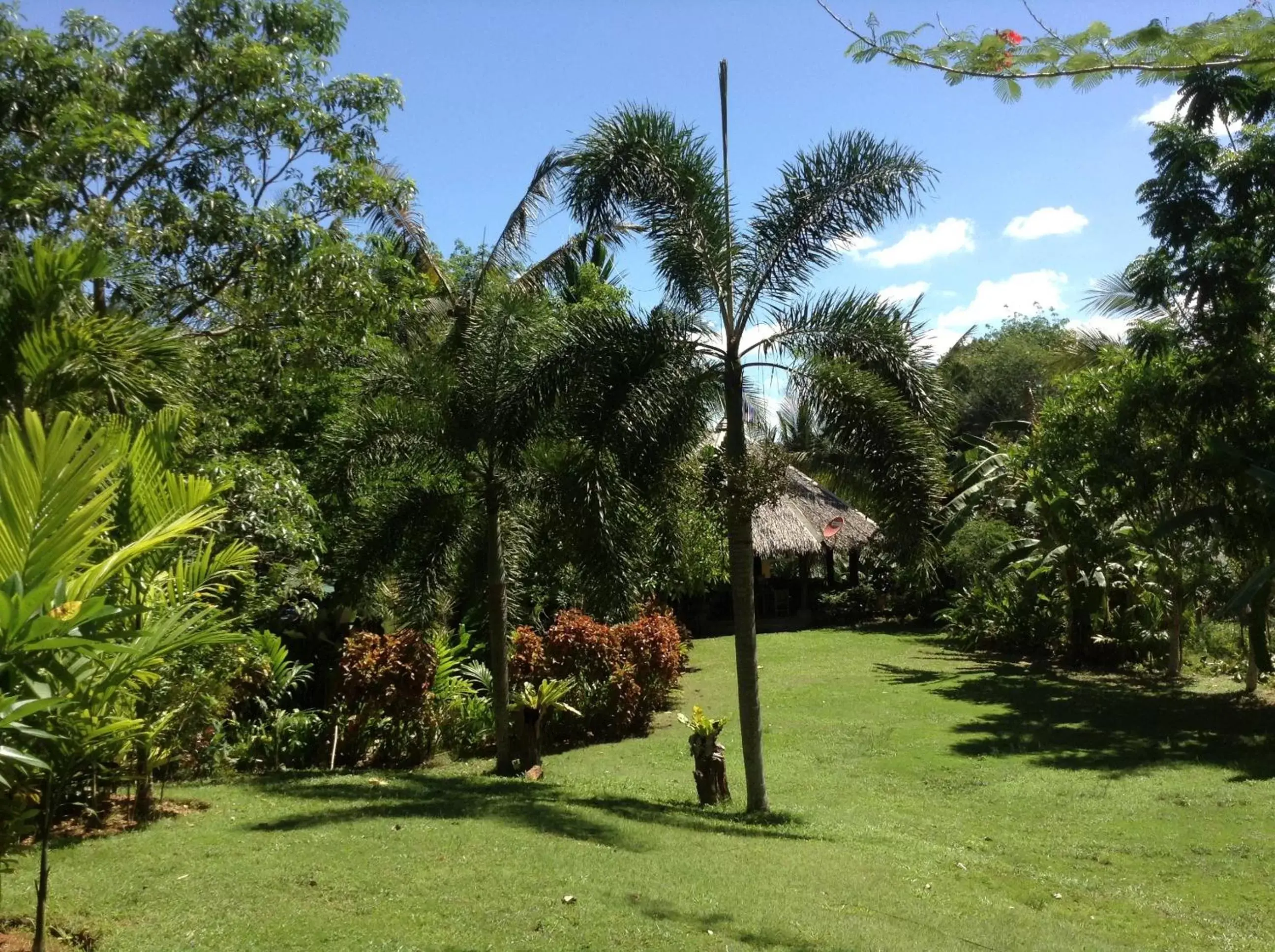 Garden in Vipa Tropical Resort