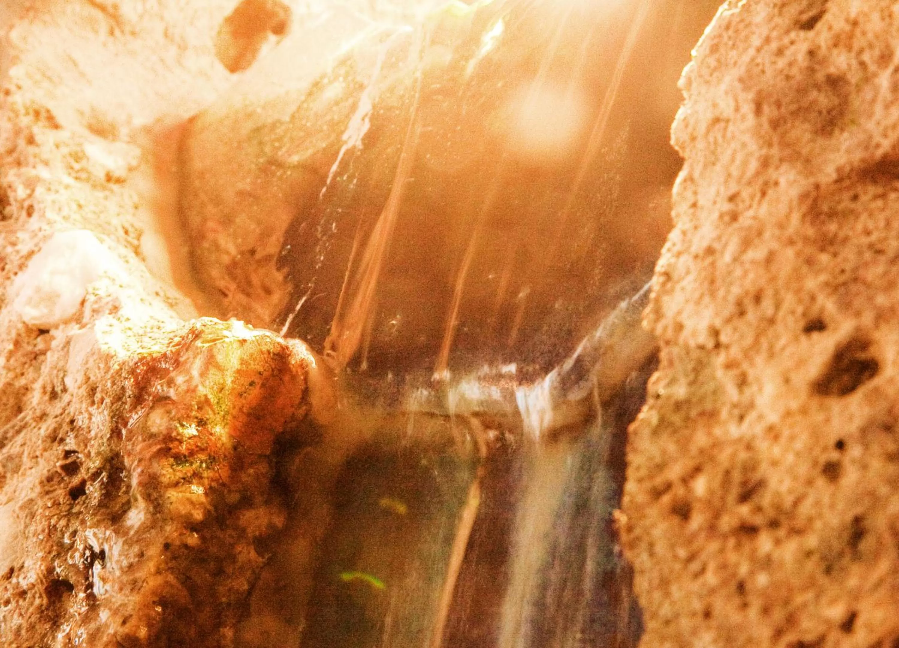 Decorative detail in Hotel Bacchus