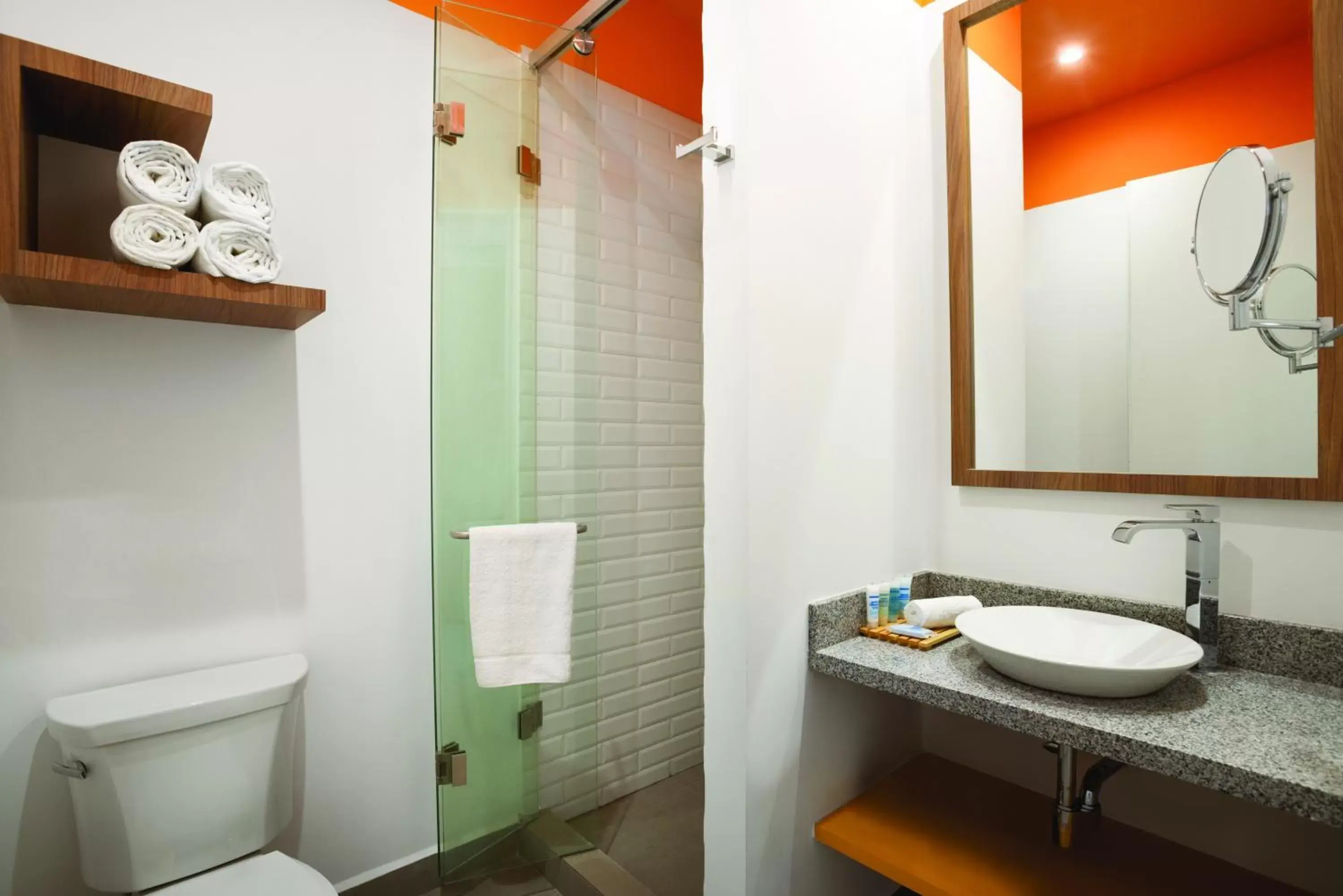 Shower, Bathroom in Tryp WTC Mexico