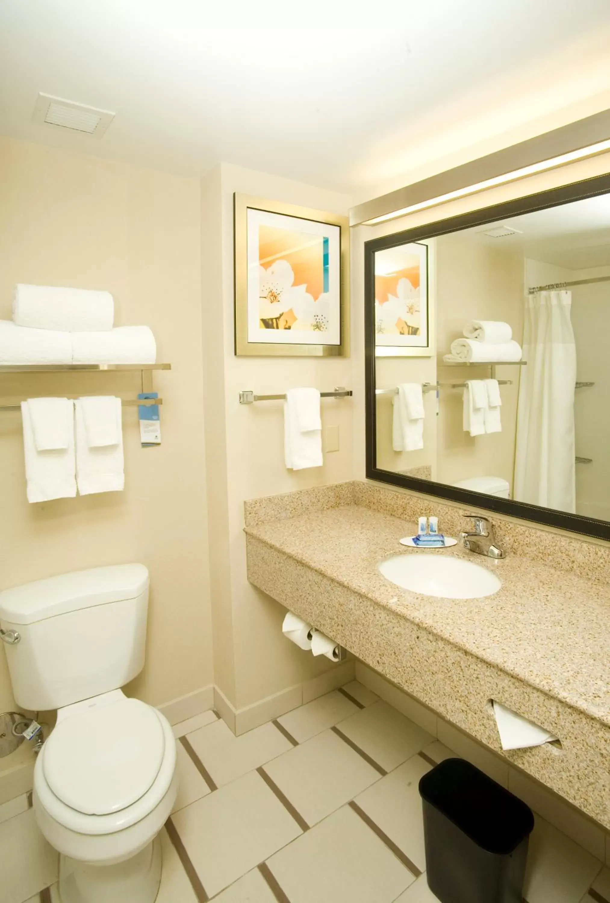 Bathroom in Fairfield Inn & Suites by Marriott Chesapeake Suffolk