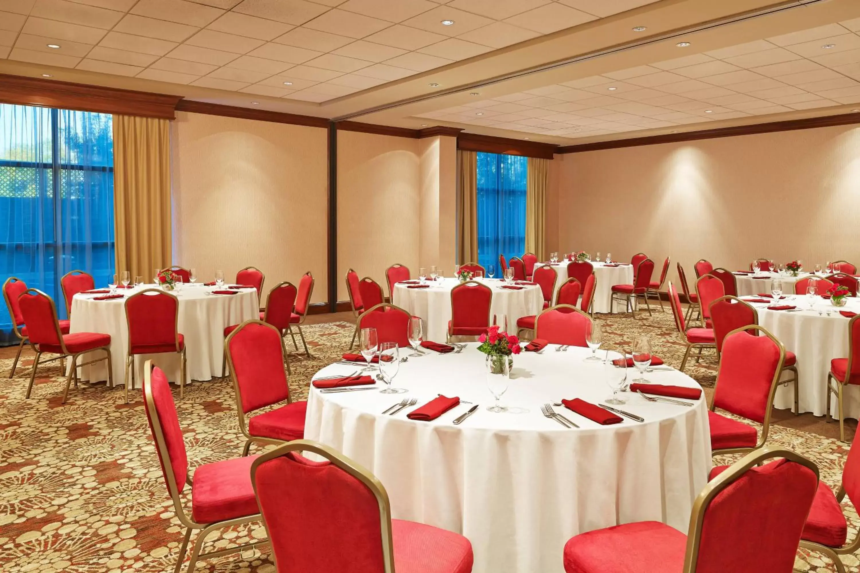 Meeting/conference room, Banquet Facilities in Sheraton Augusta Hotel