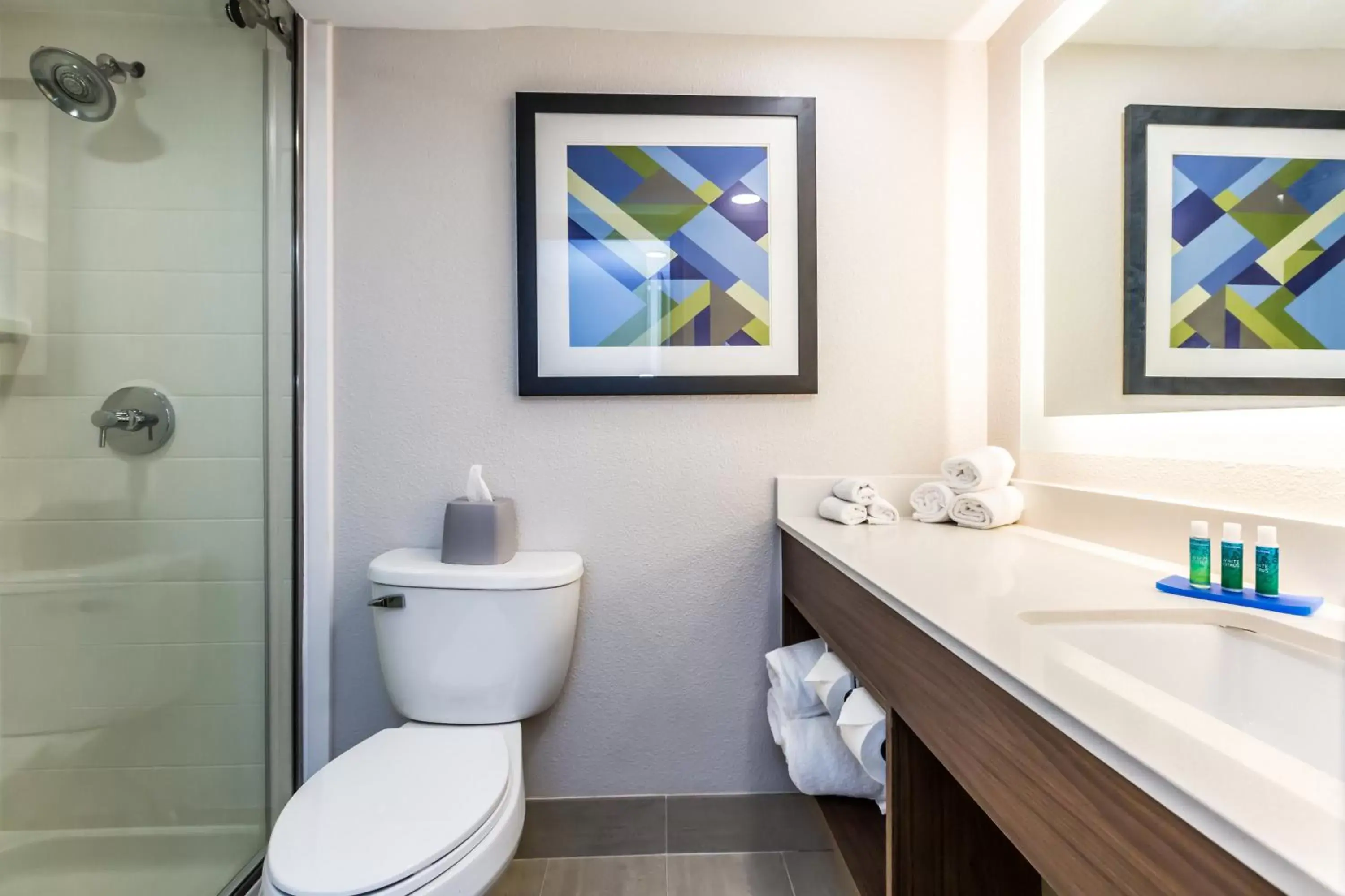 Bathroom in Holiday Inn Express Exton - Great Valley, an IHG Hotel