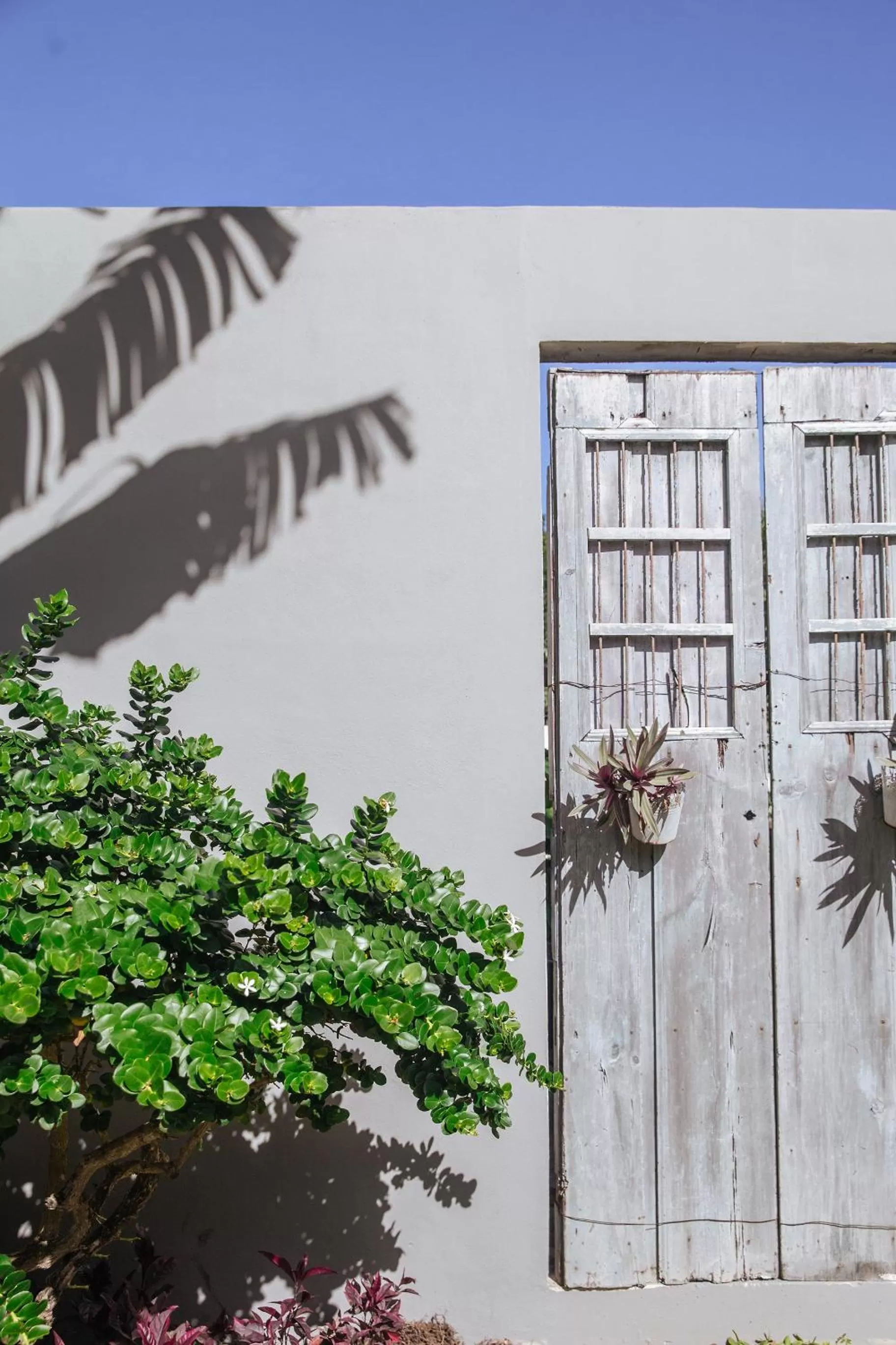 Garden in Villas H2O