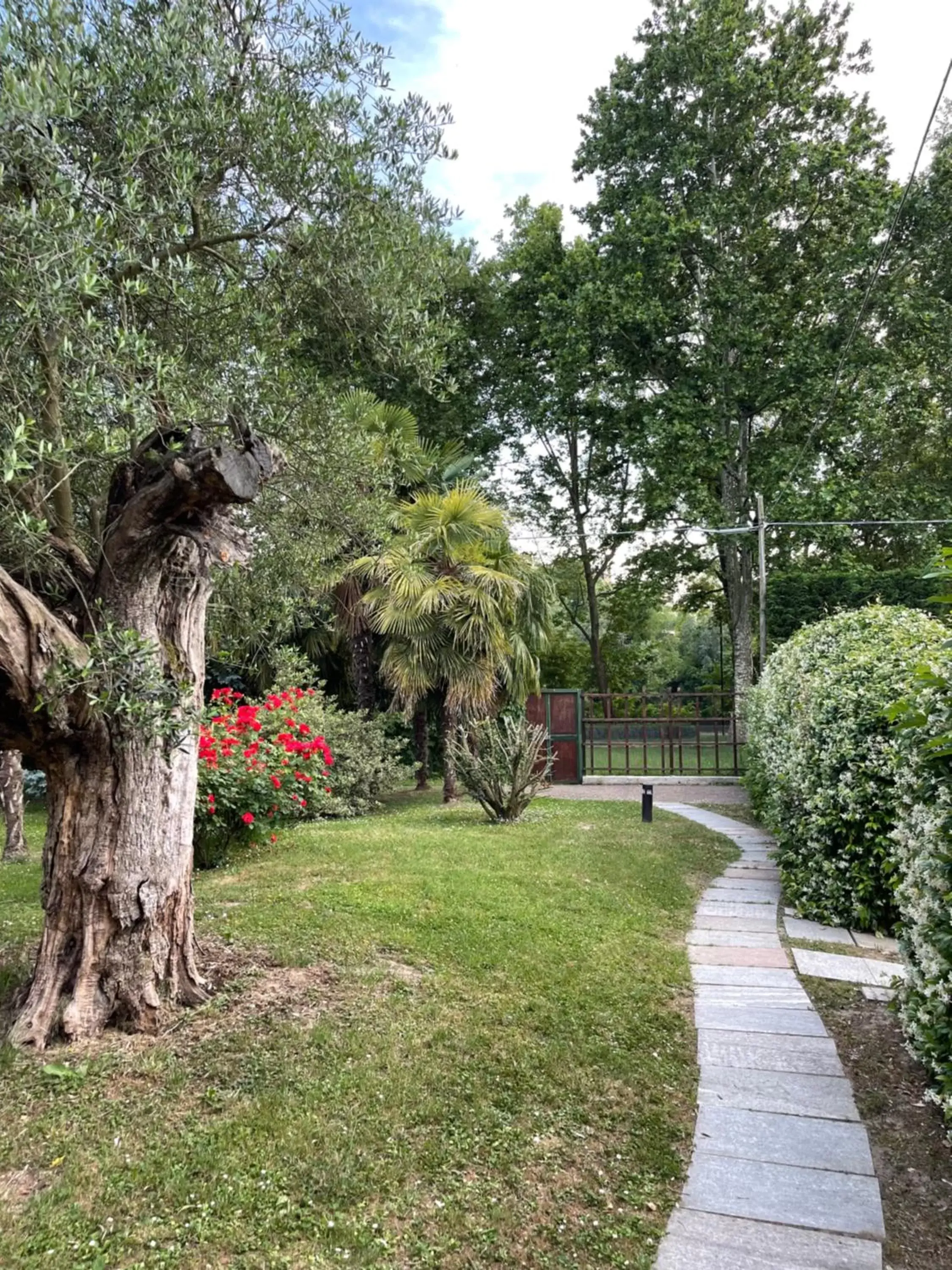 Garden in Parco Hotel Sassi