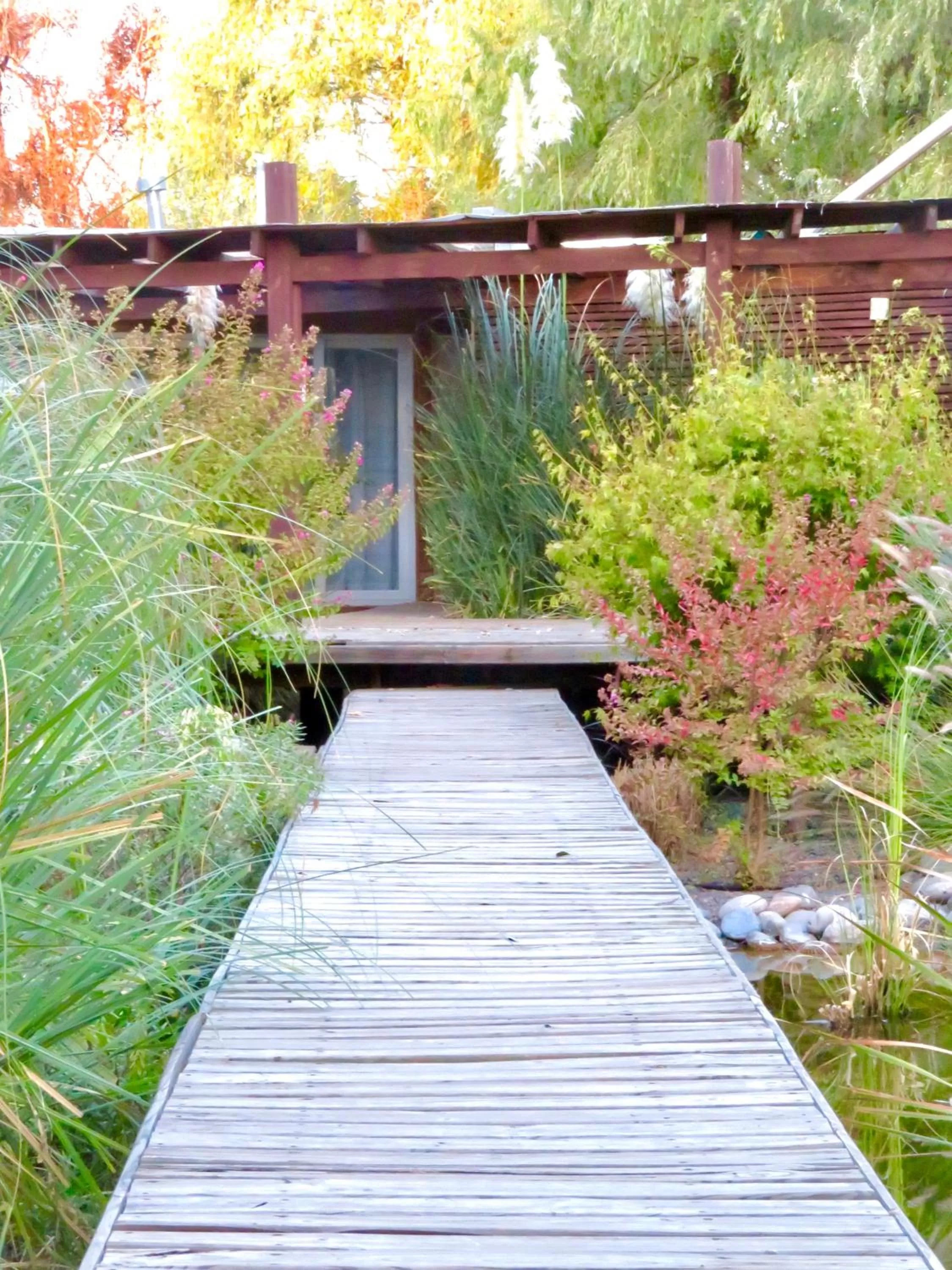 Balcony/Terrace in Barrica Lodge