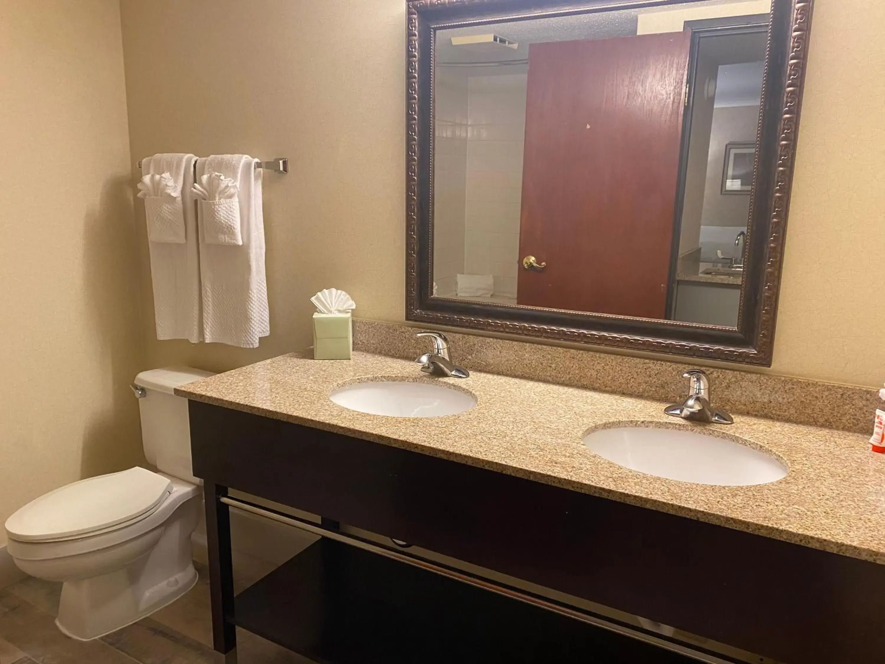 Bathroom in Wyndham Garden Grand Rapids Airport