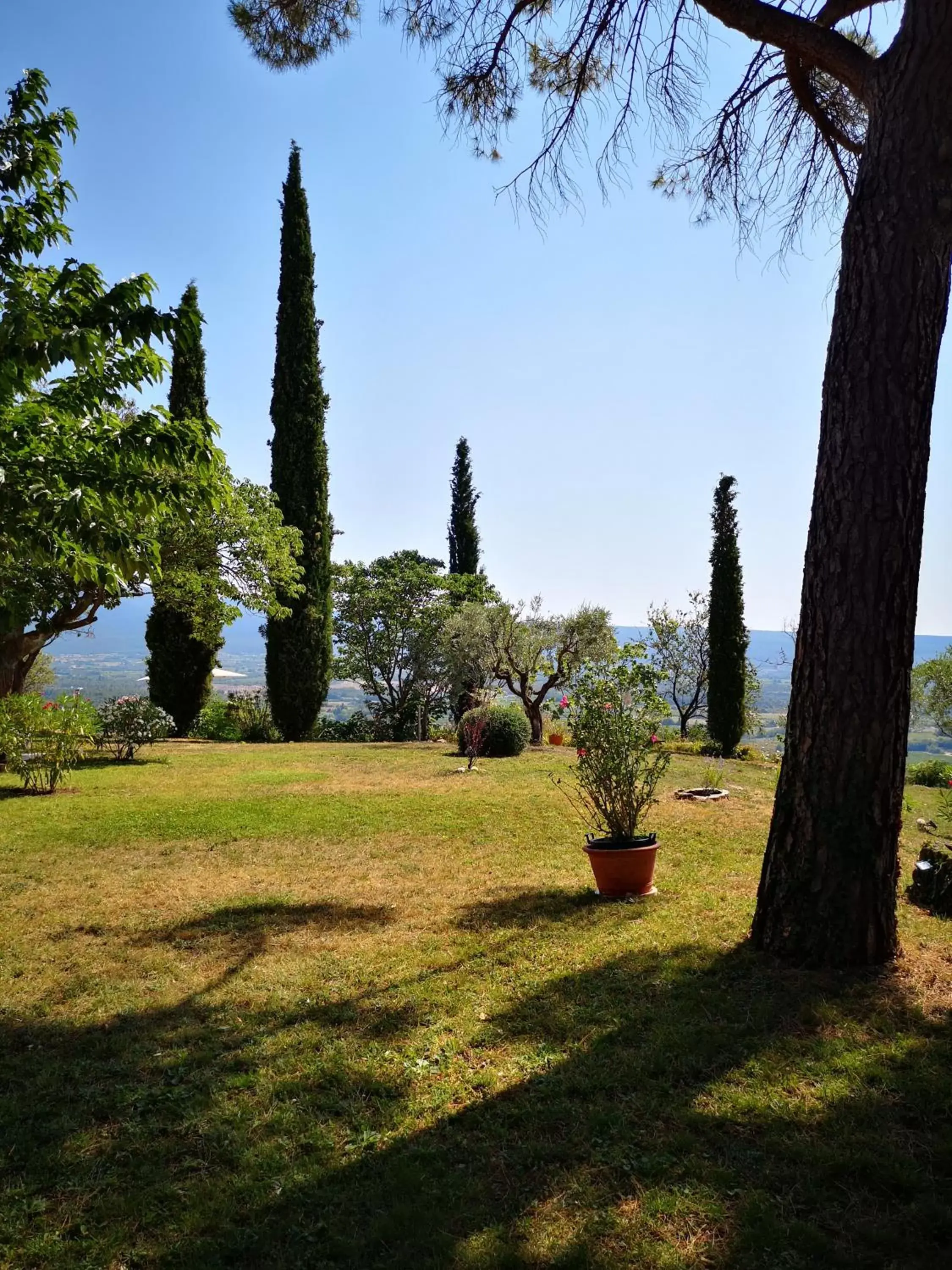 Garden in La Bastide du Limon