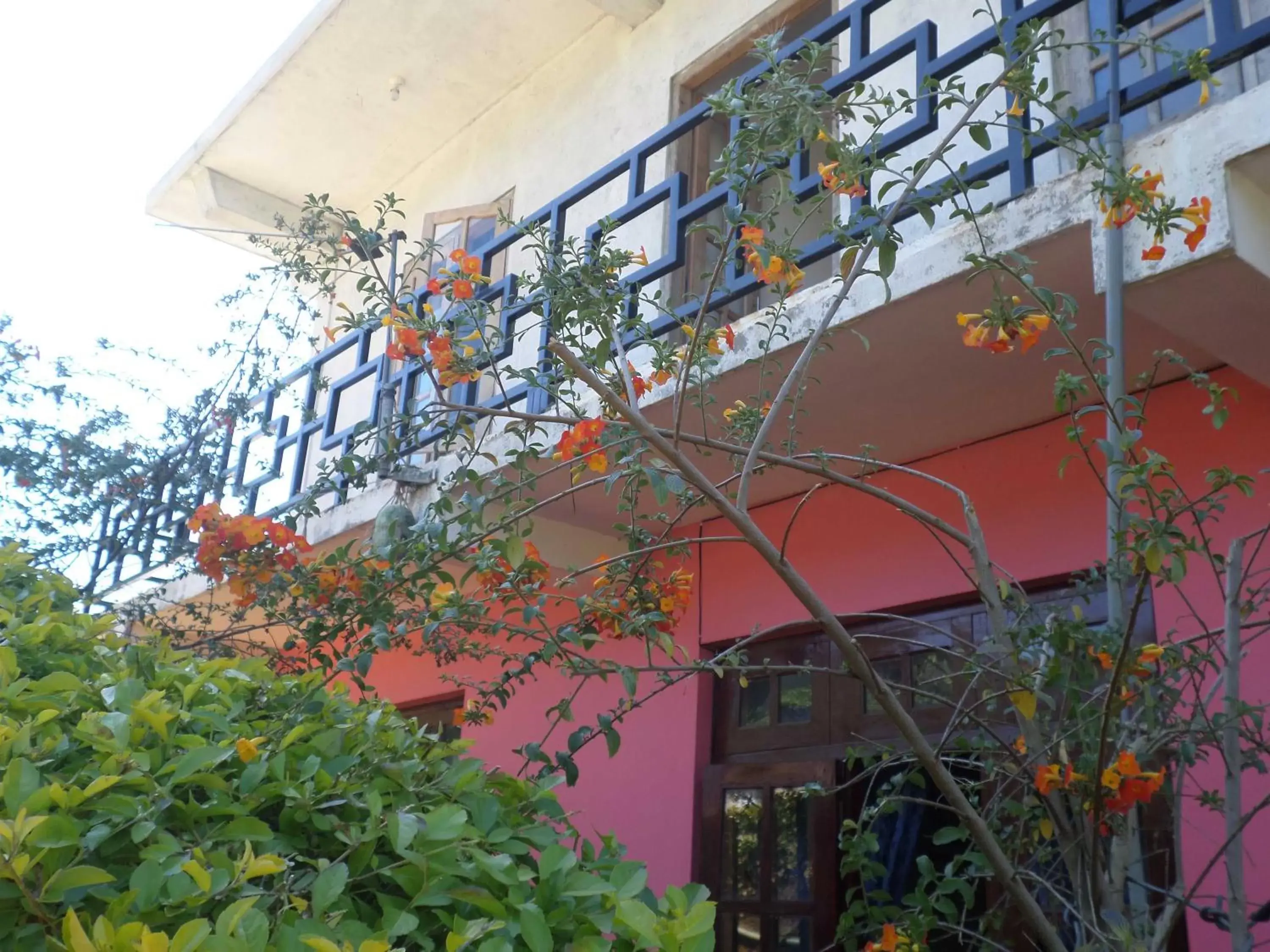 Property building in The Train View Property building in The Train View