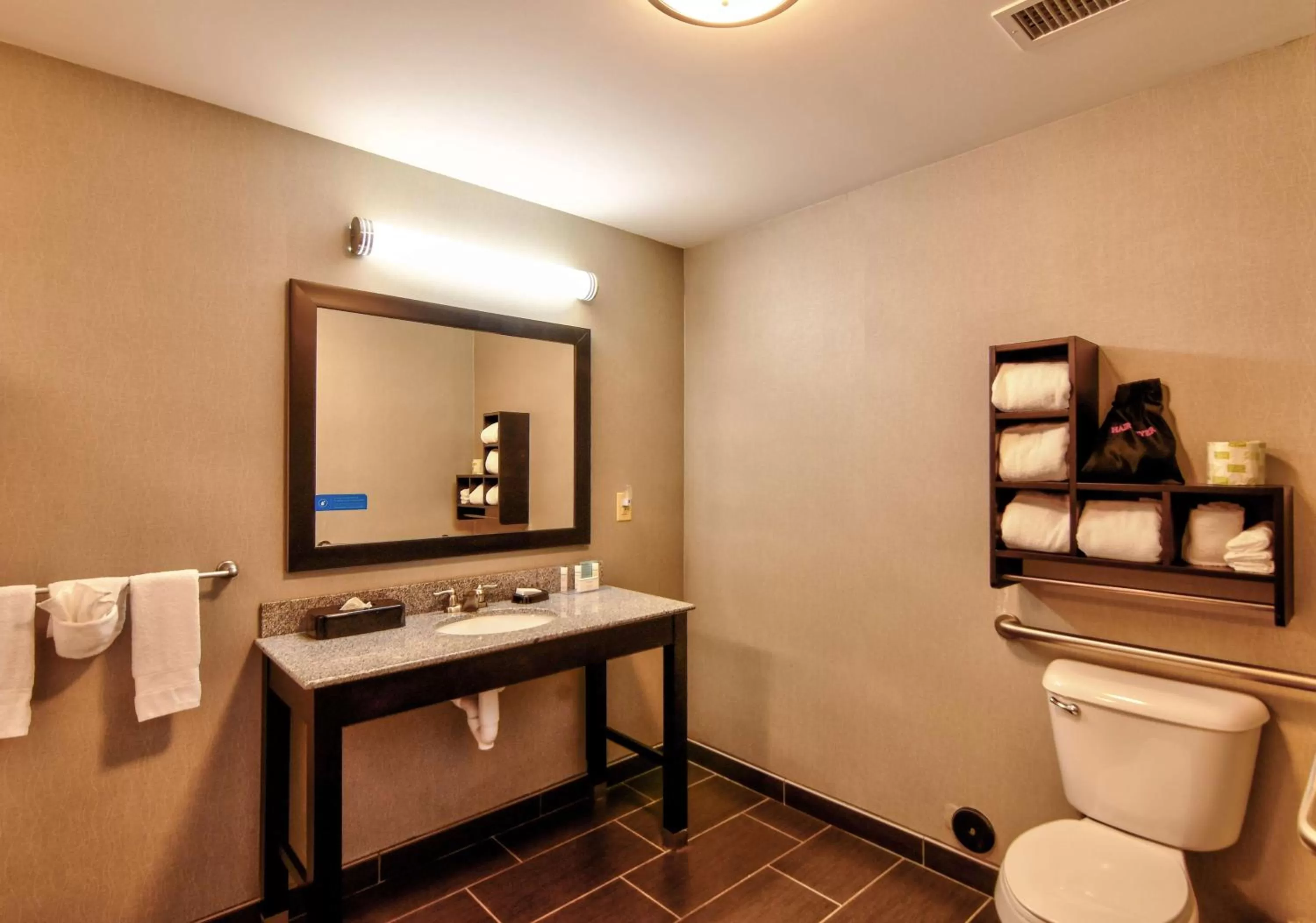 Bathroom in Hampton Inn Foley