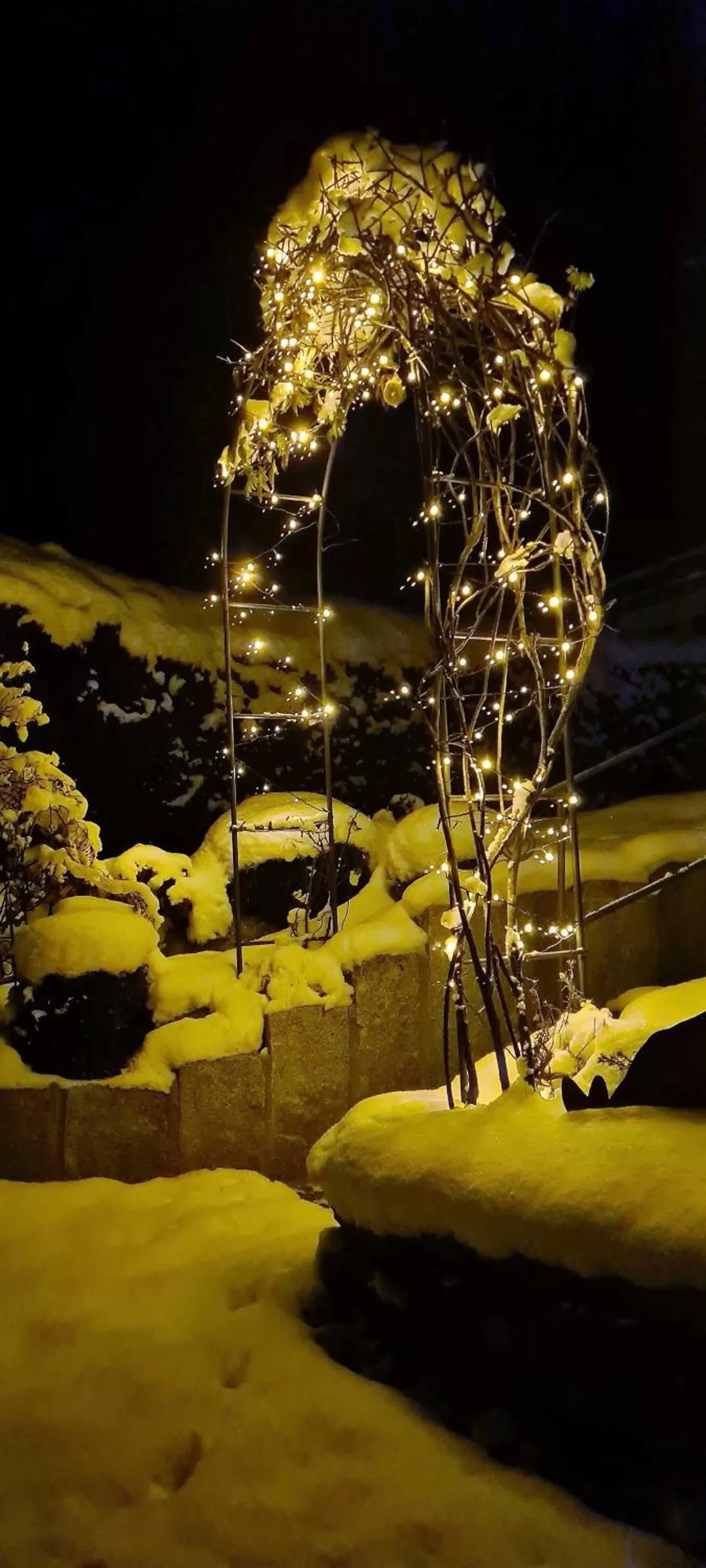 Night in Hotel Steffl Garni inkl Chiemgau Karte