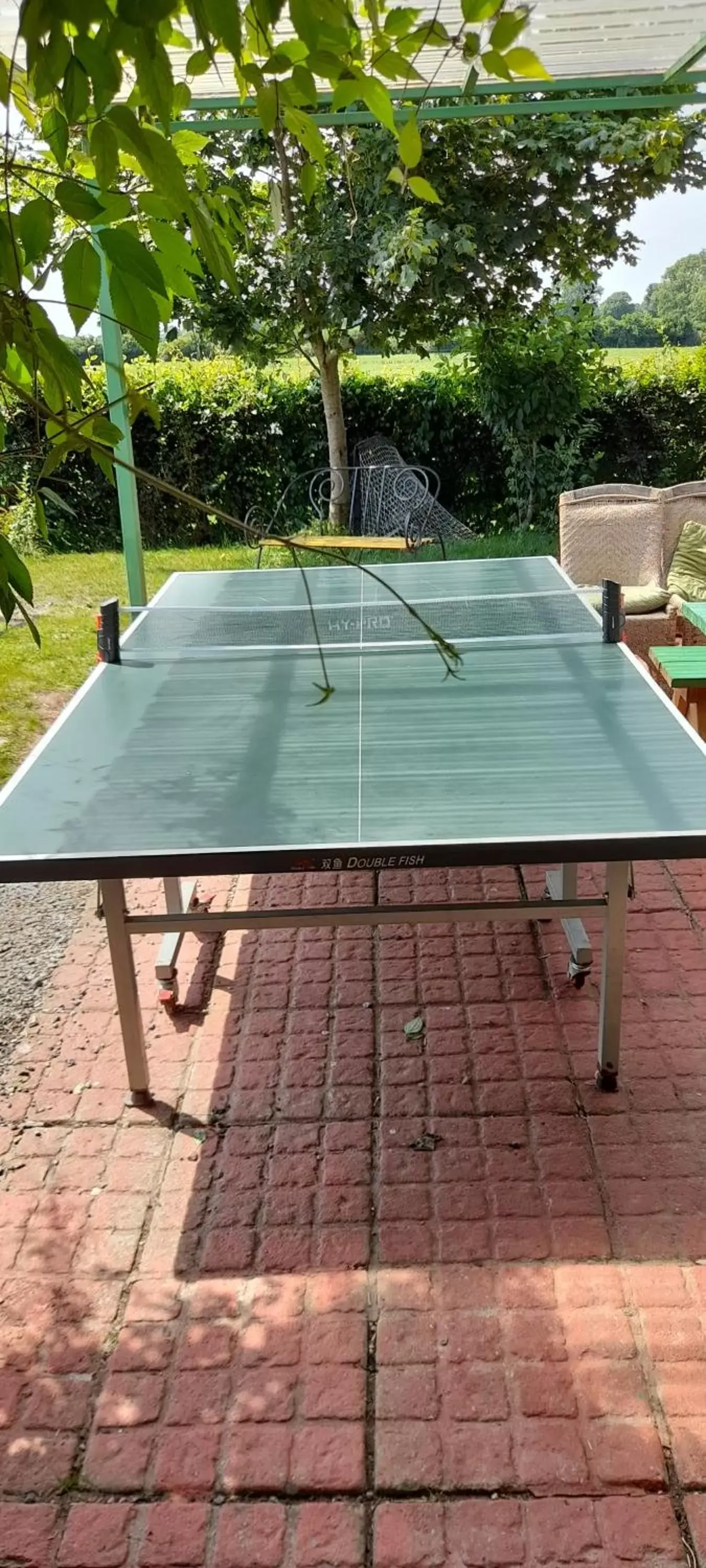 Property building, Table Tennis in Annaswood B&B