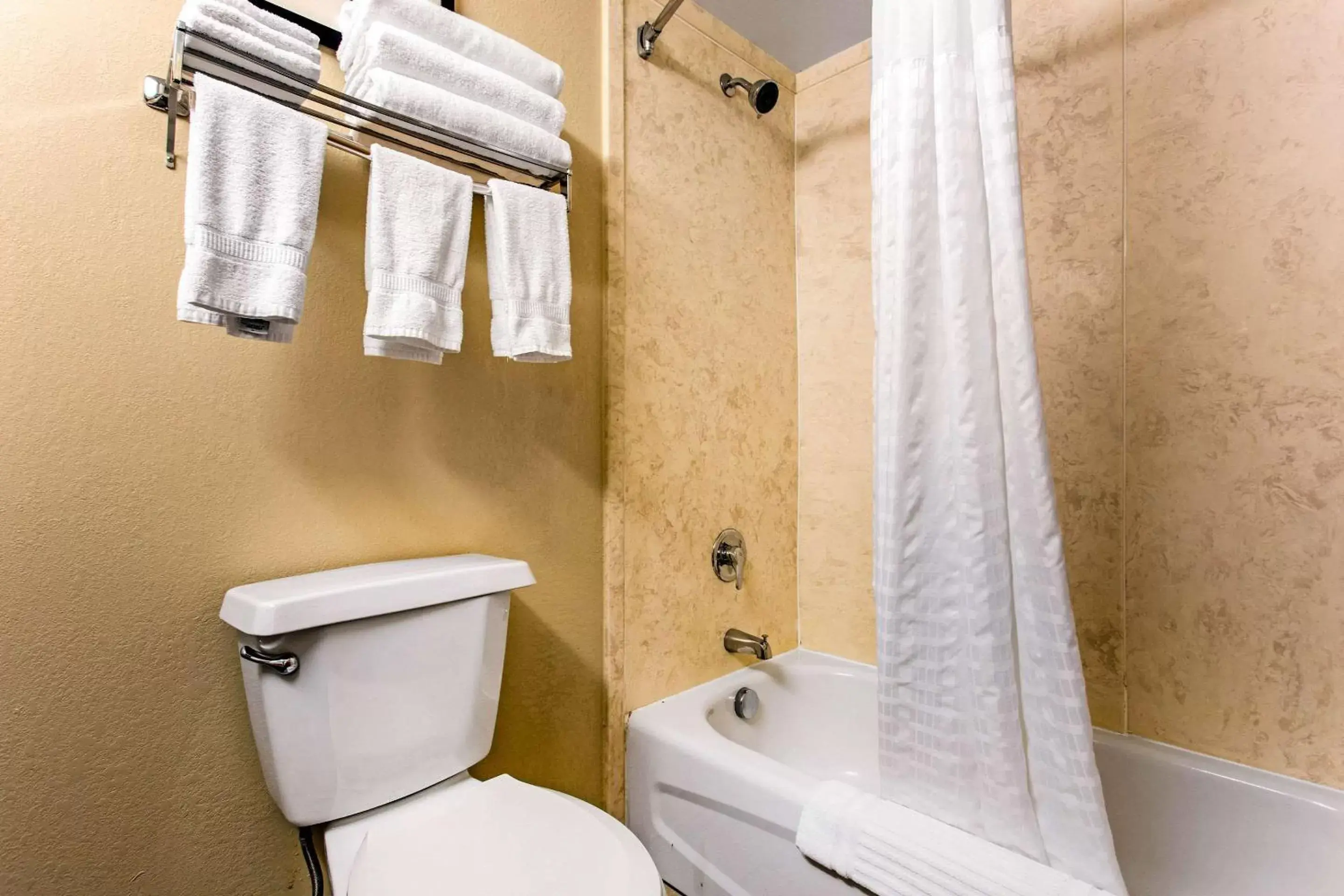 Shower, Bathroom in Comfort Suites Wilmington near Downtown