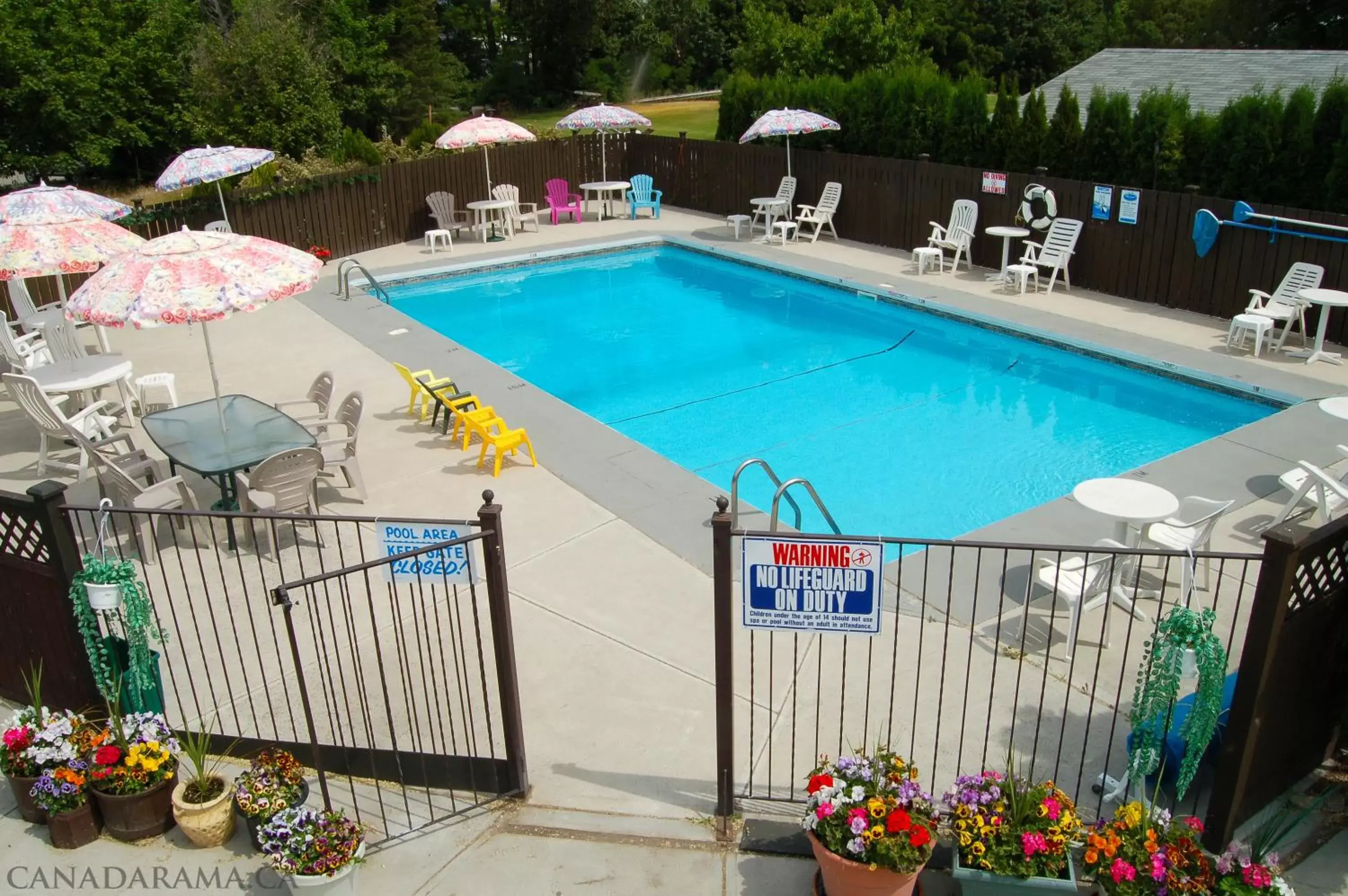 Day, Pool View in Rosedale Motel