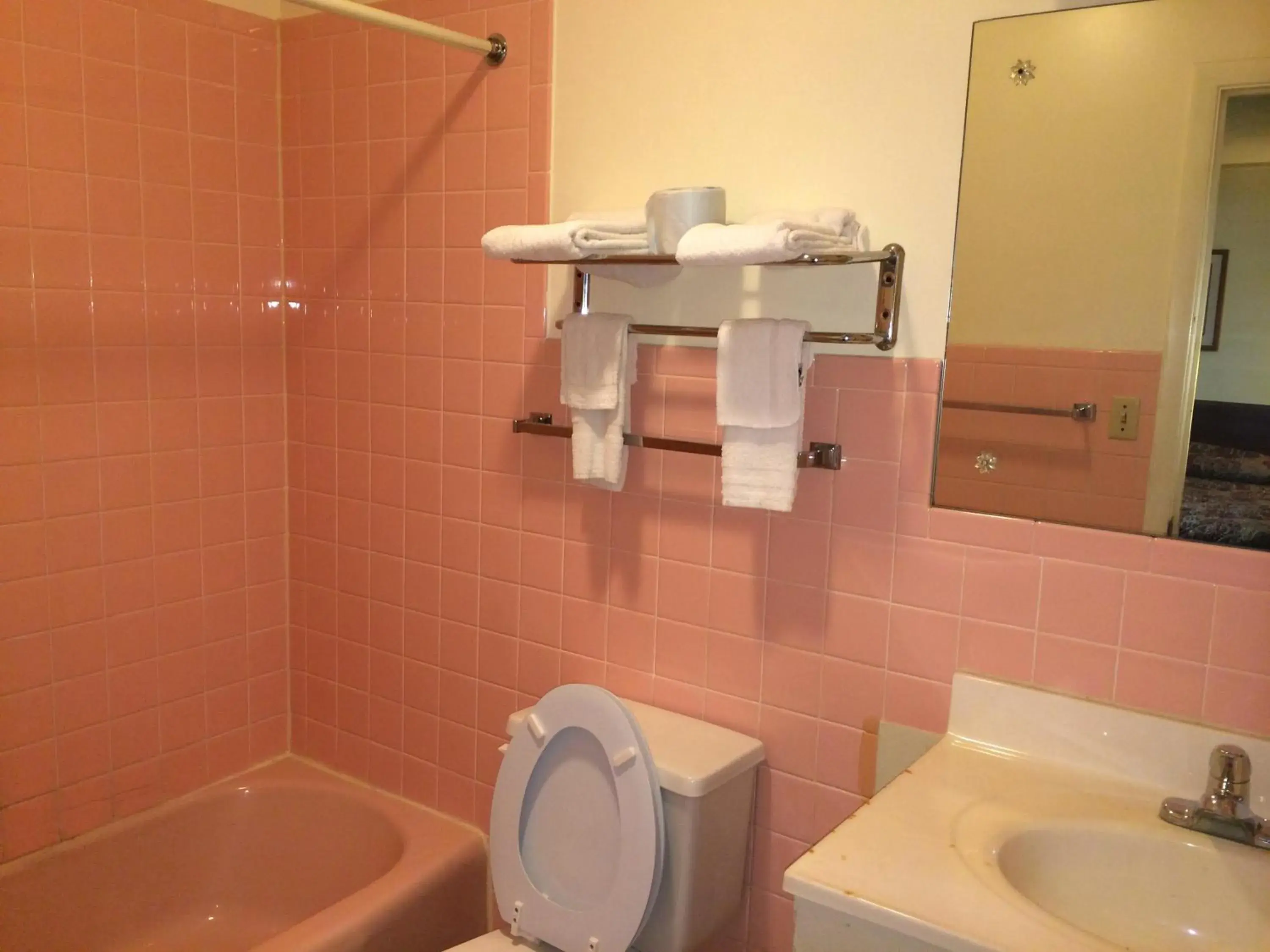 Bathroom in Rapids Inn & Suites