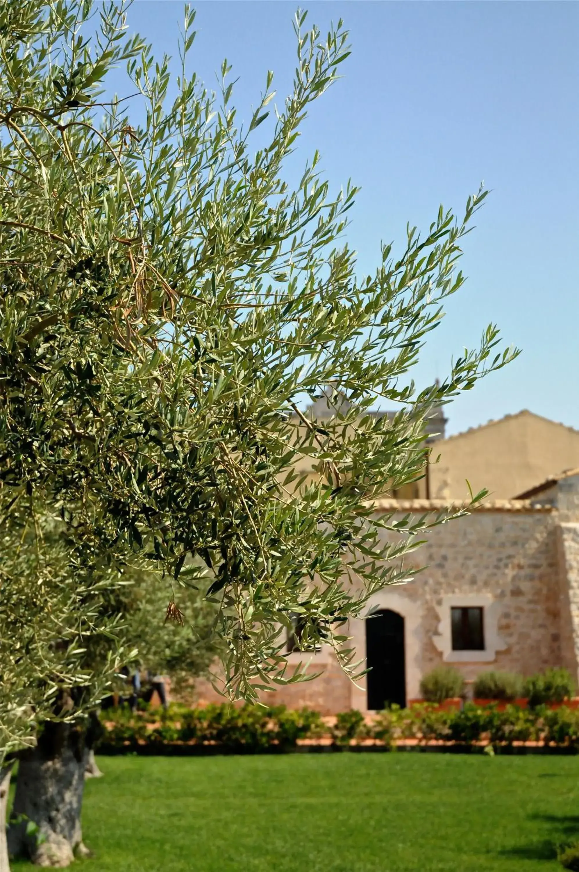 Garden, Property Building in Torre Don Virgilio Country Hotel