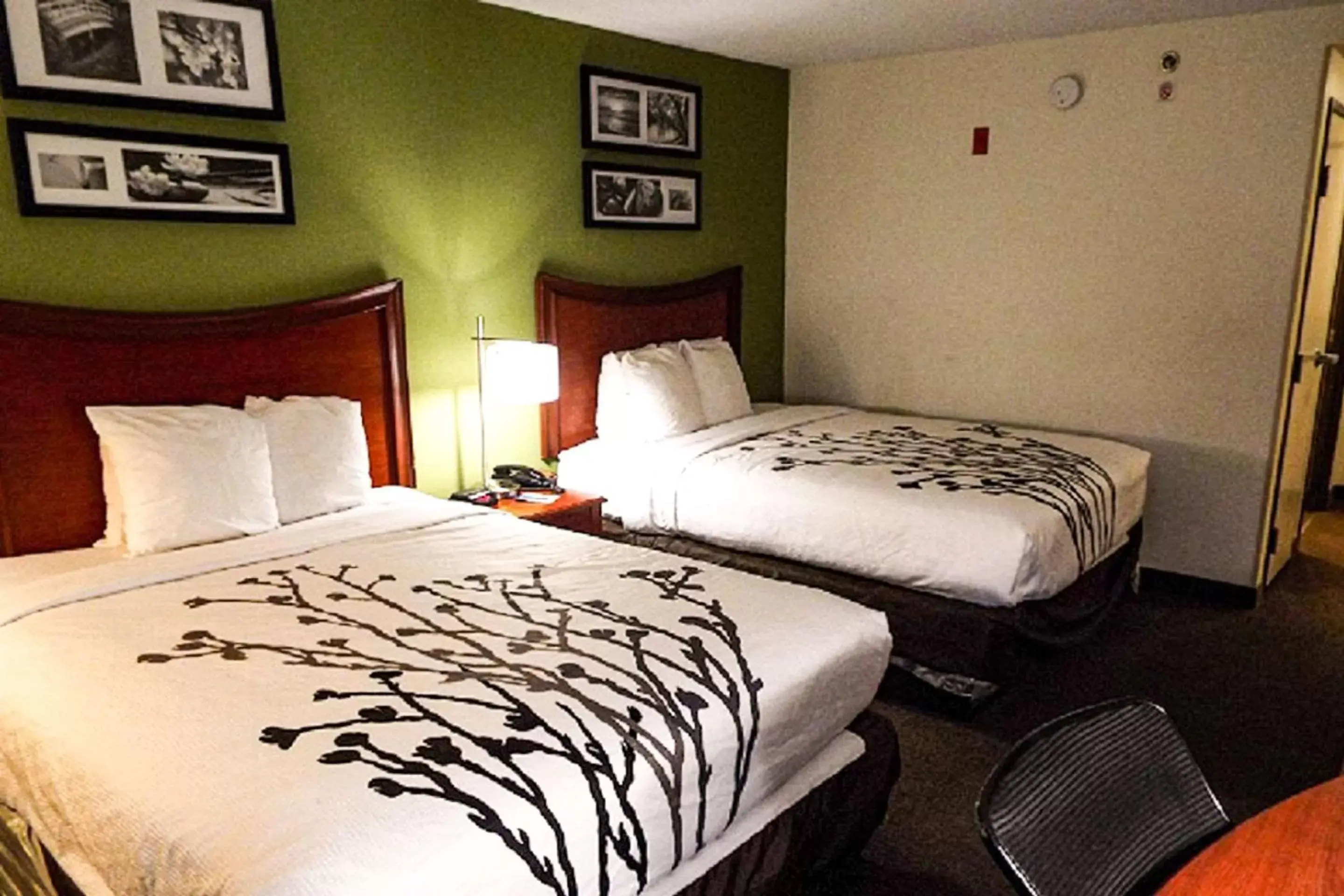 Bedroom, Bed in Sleep Inn & Suites Laurel