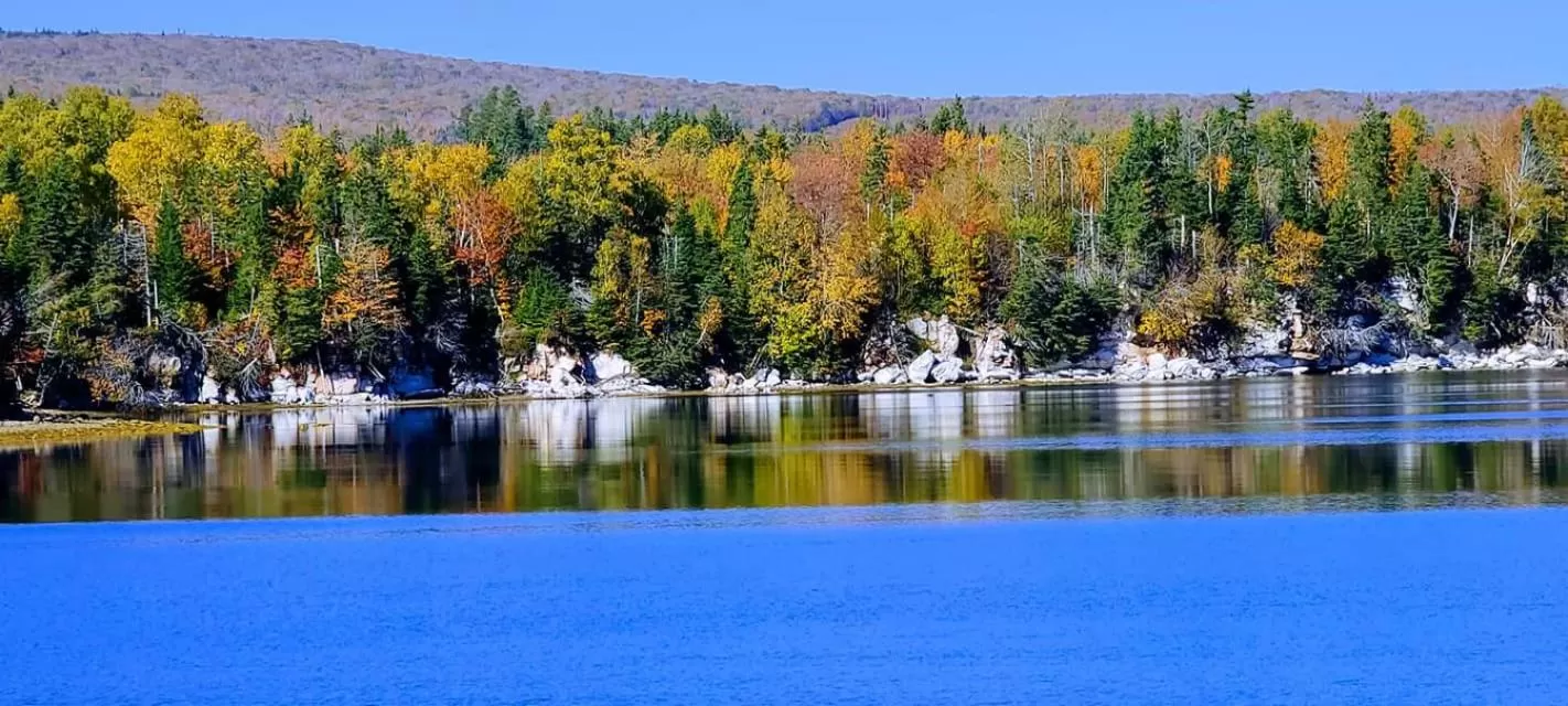 St Ann's Motel & Cottage