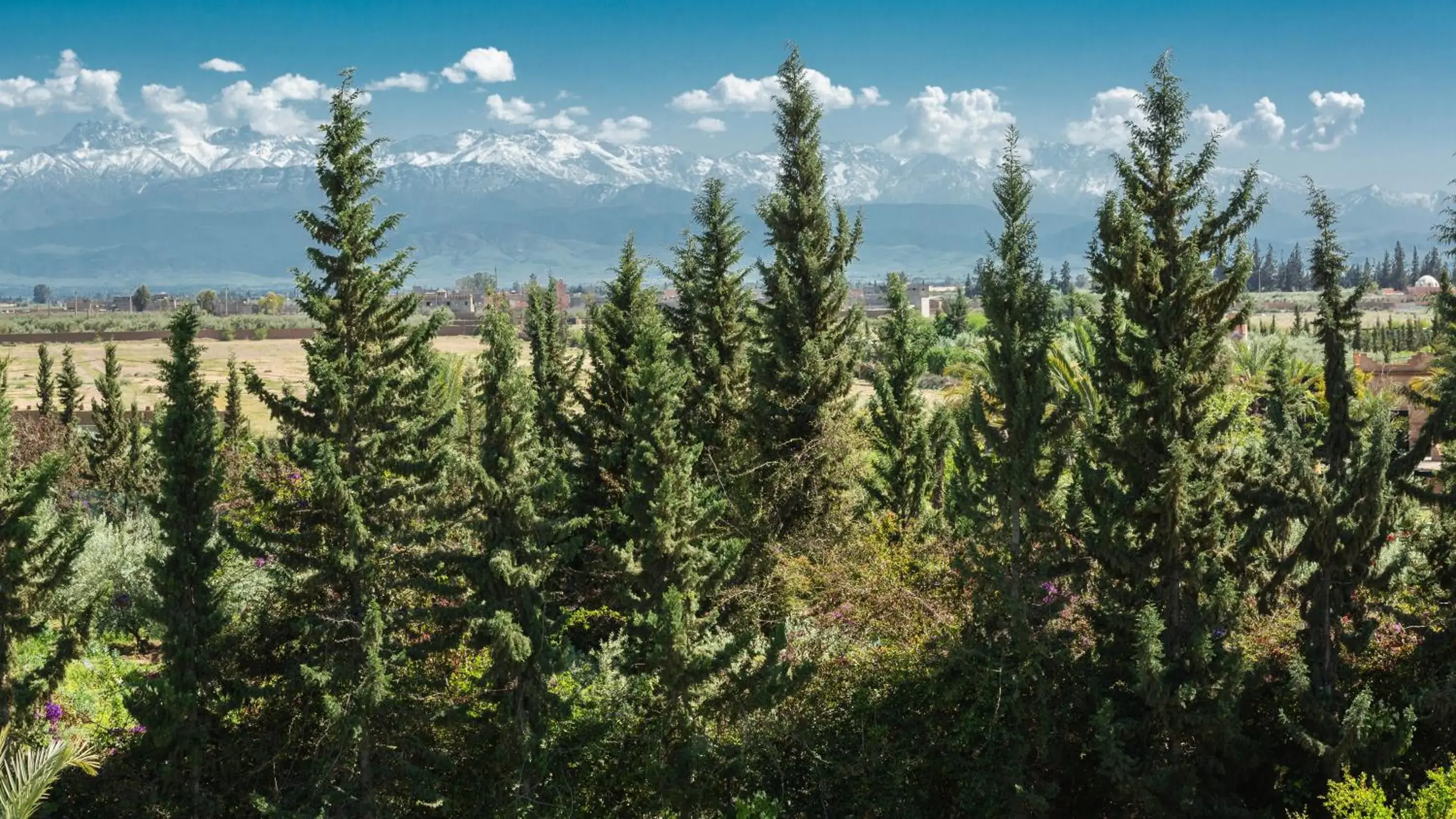 Mountain view in L'OLIVERAIE DE L'ATLAS