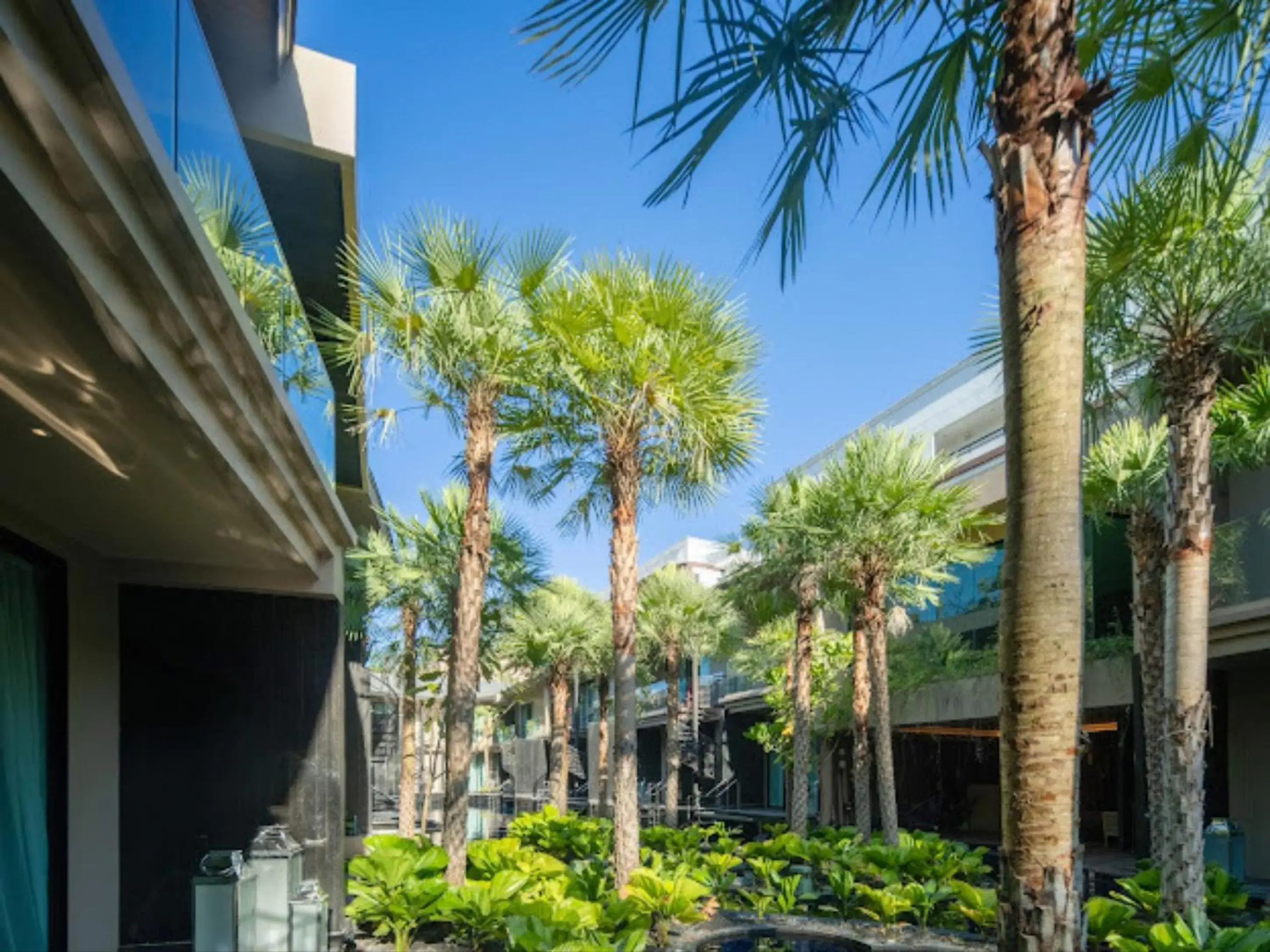 View (from property/room) in Areca Resort and Spa View (from property/room) in Areca Resort and Spa