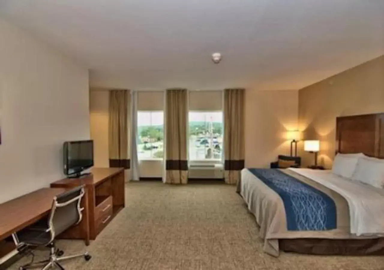 Comfort Inn Apalachin - Binghamton W Route 17